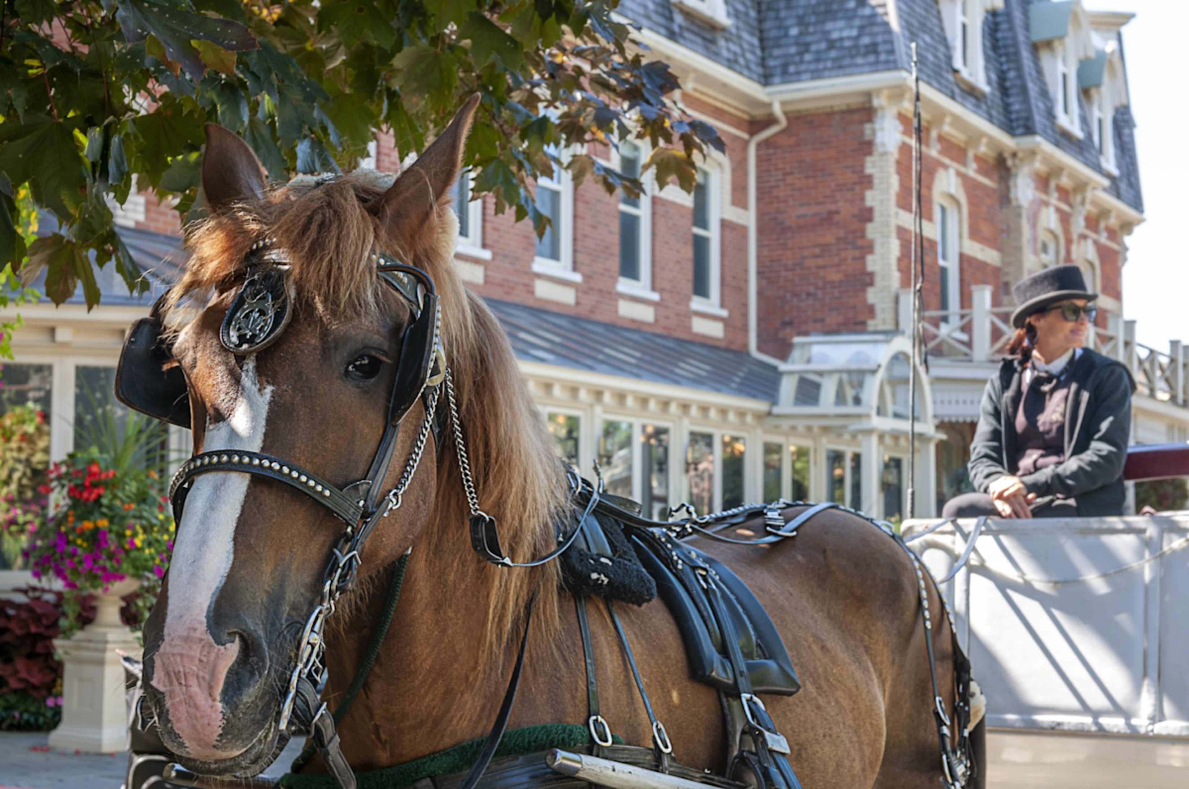 Mackinac Island, Michigan photo 2