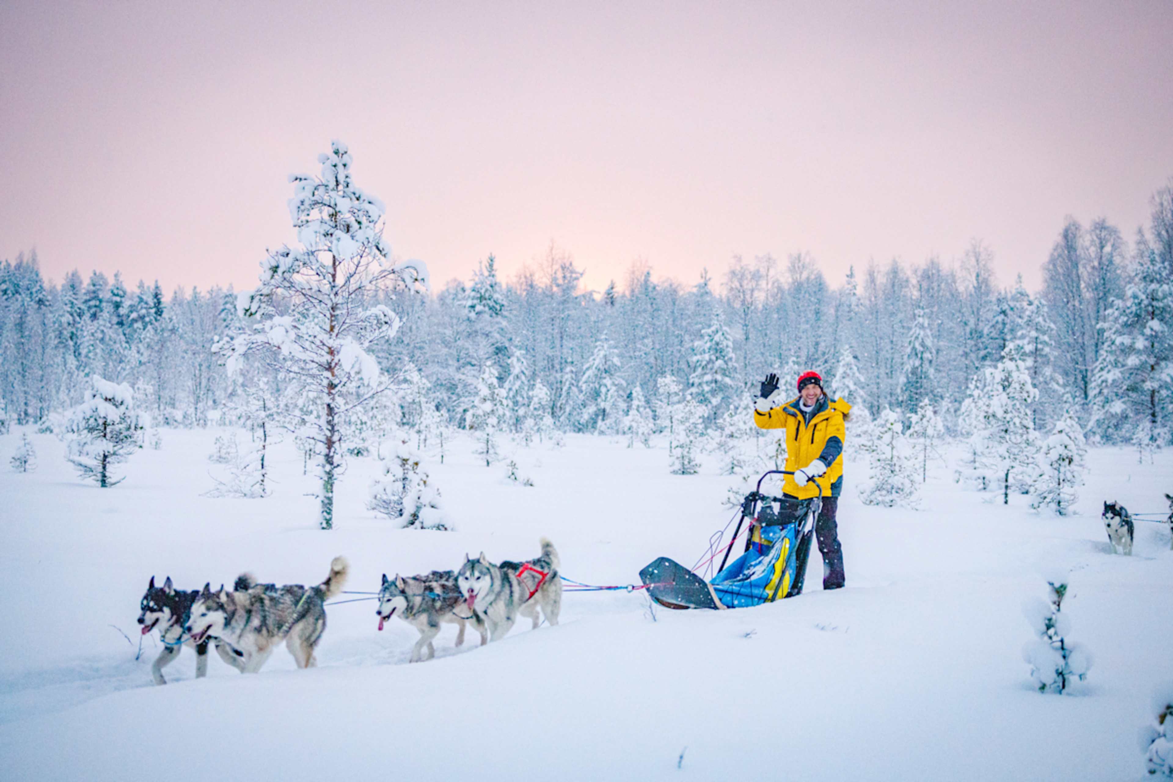Lapland Winter Wonderland photo 1