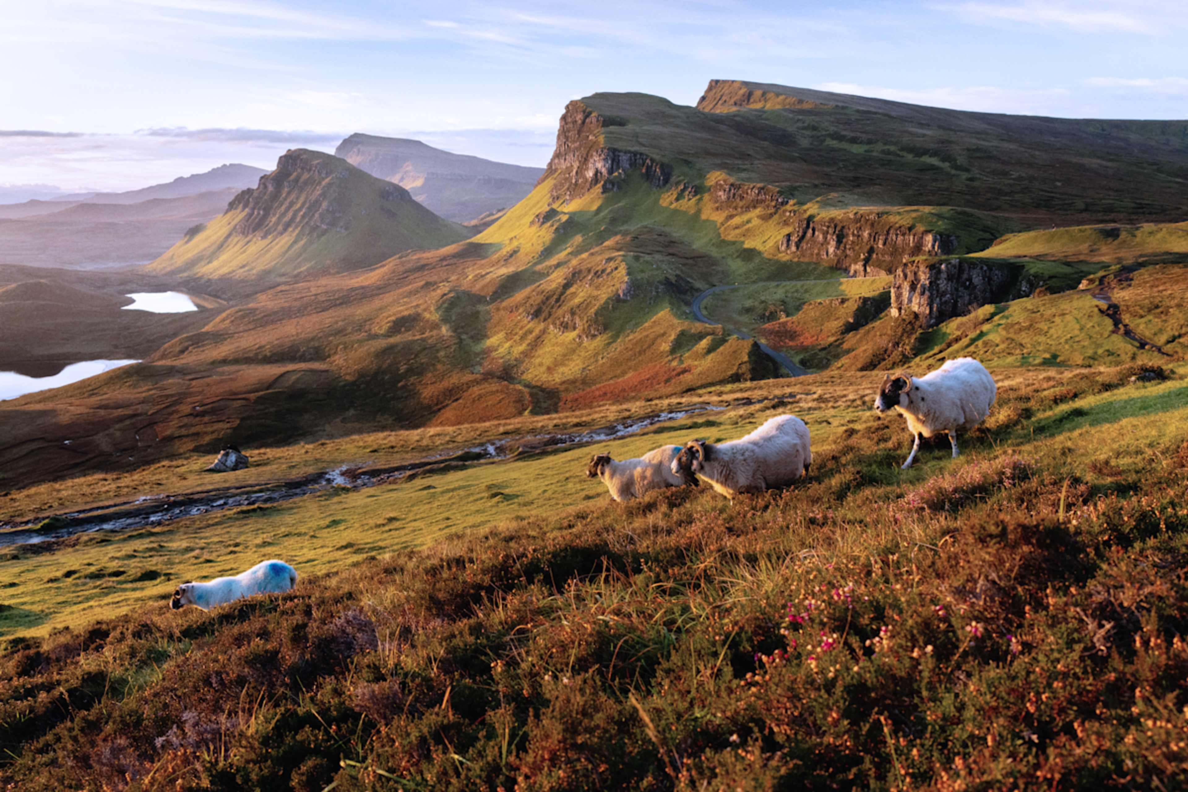 Scotland's Heart: Castles & Wild Highlands photo 1