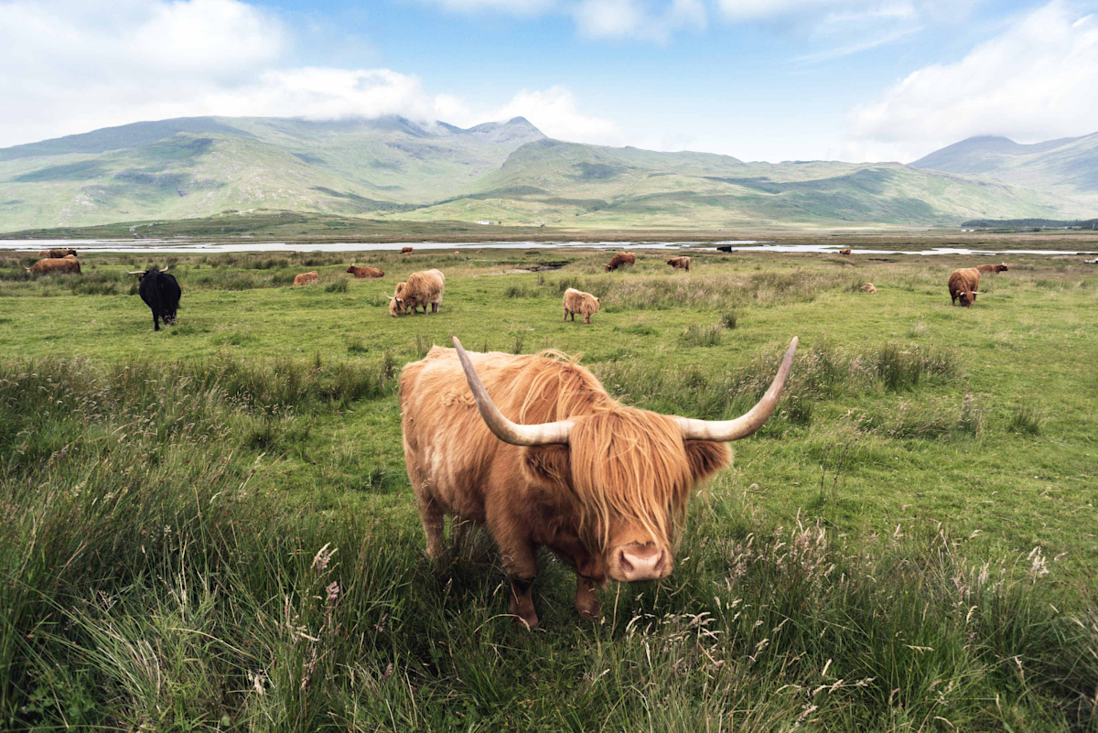 Scotland's Heart: Castles & Wild Highlands photo 6