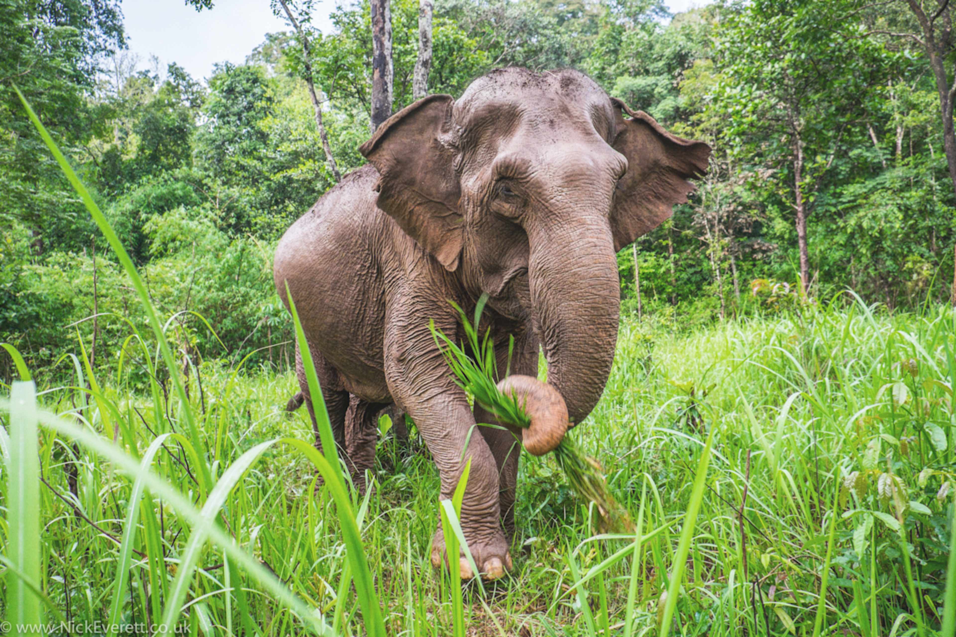 Thailand & Cambodia Highlights photo 4
