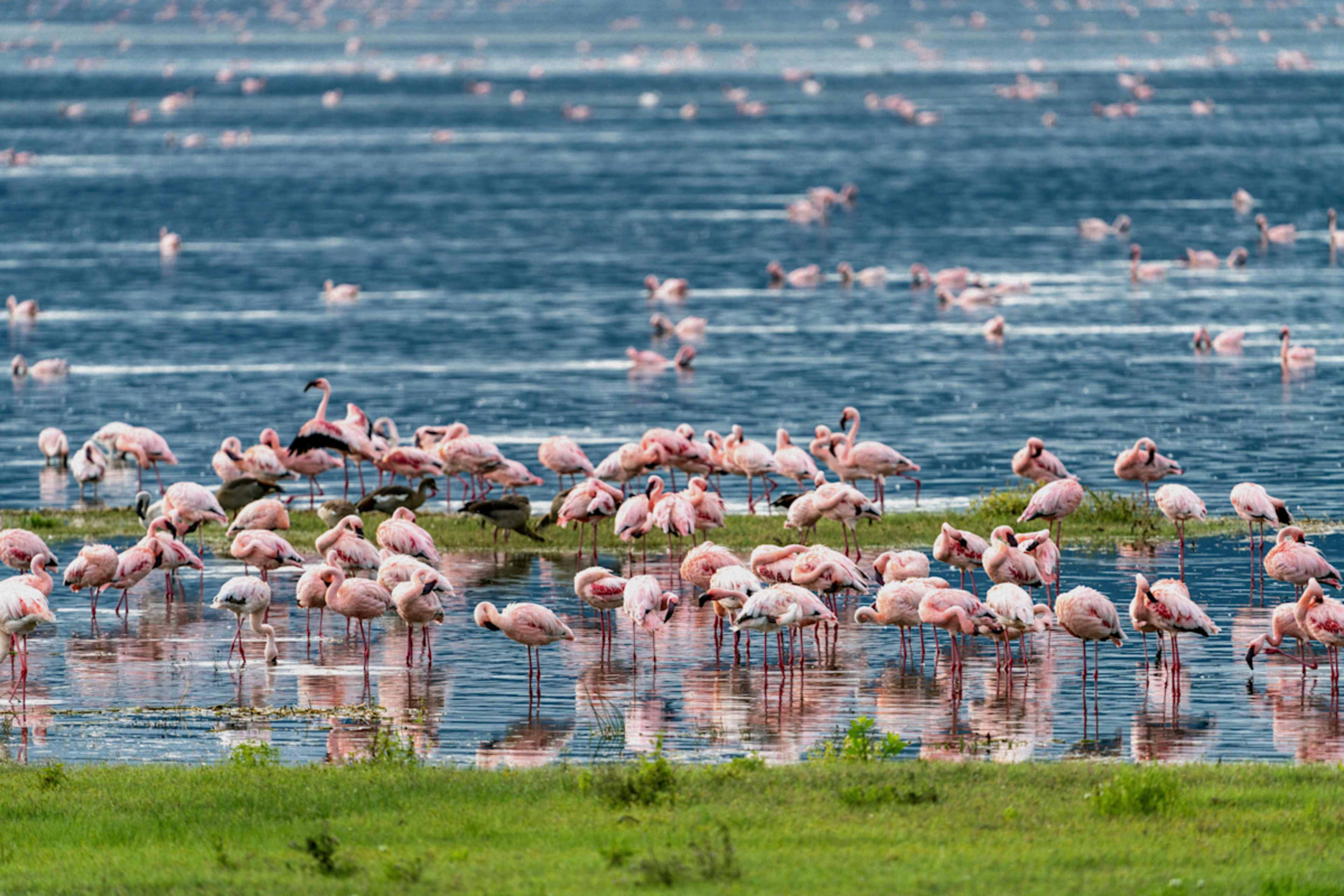 Uncharted Tanzania: North to South Safari photo 3