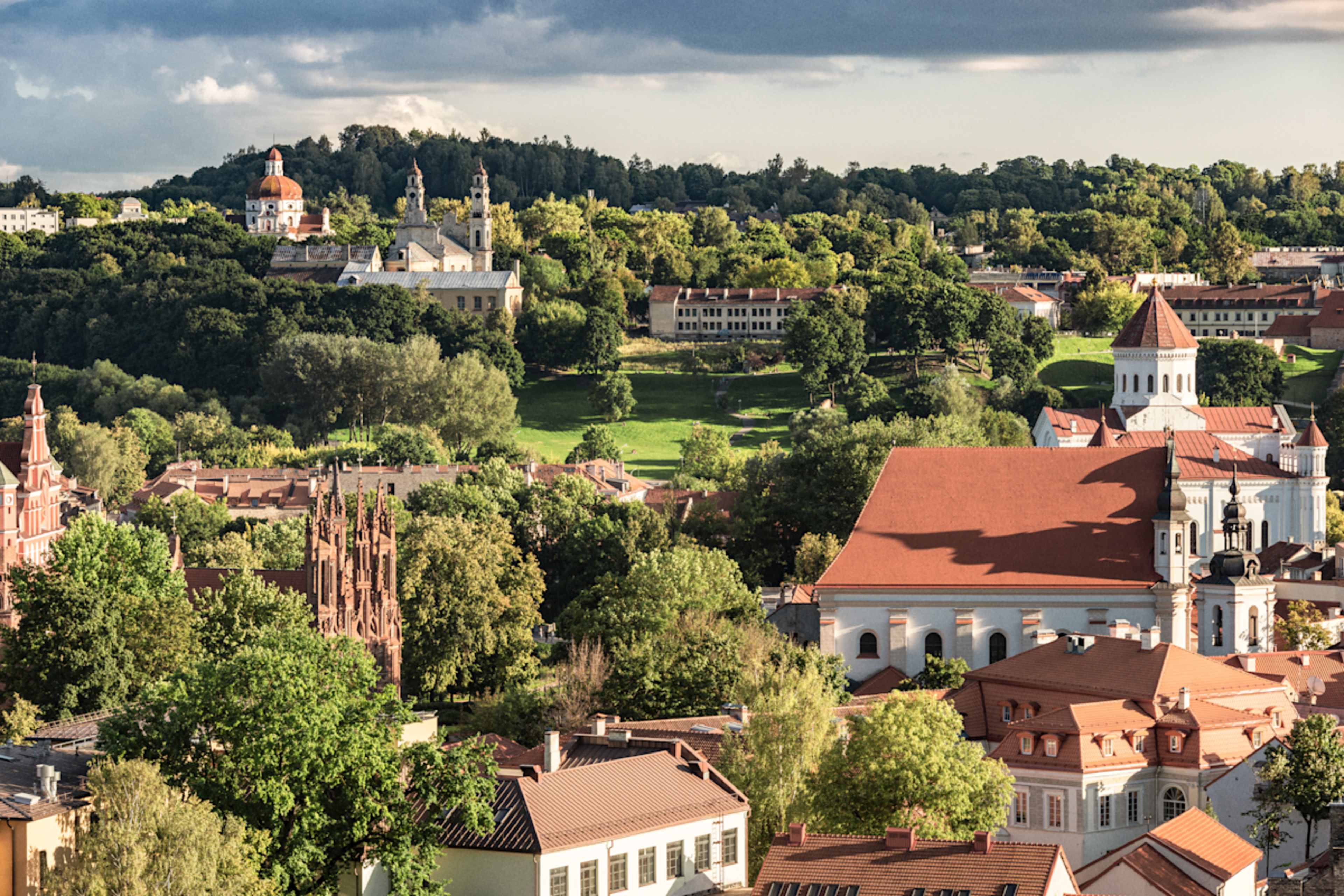 Baltics in Depth  photo 3