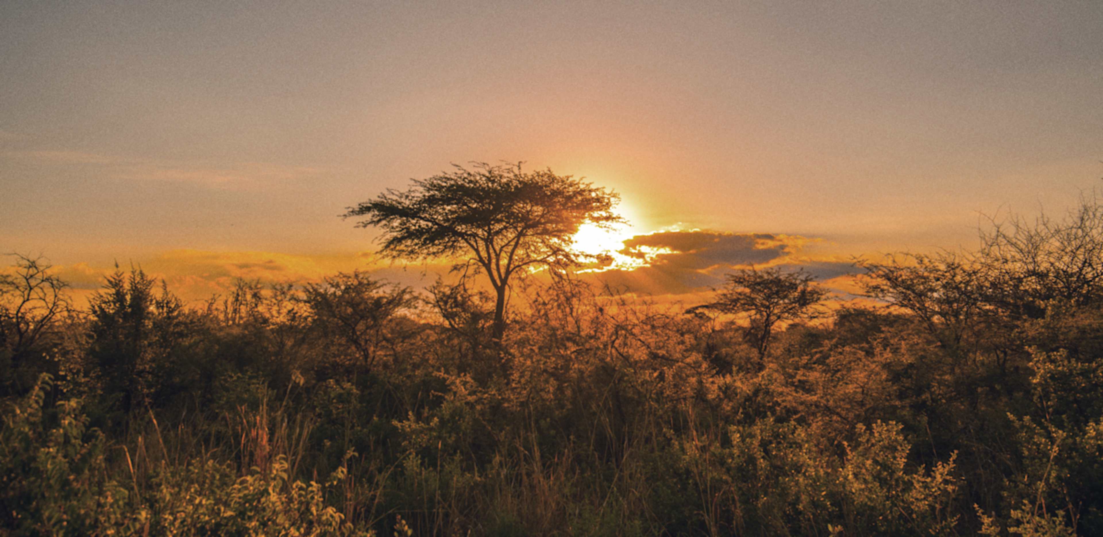 Victoria Falls & Africa's Elephant Kingdoms photo 3