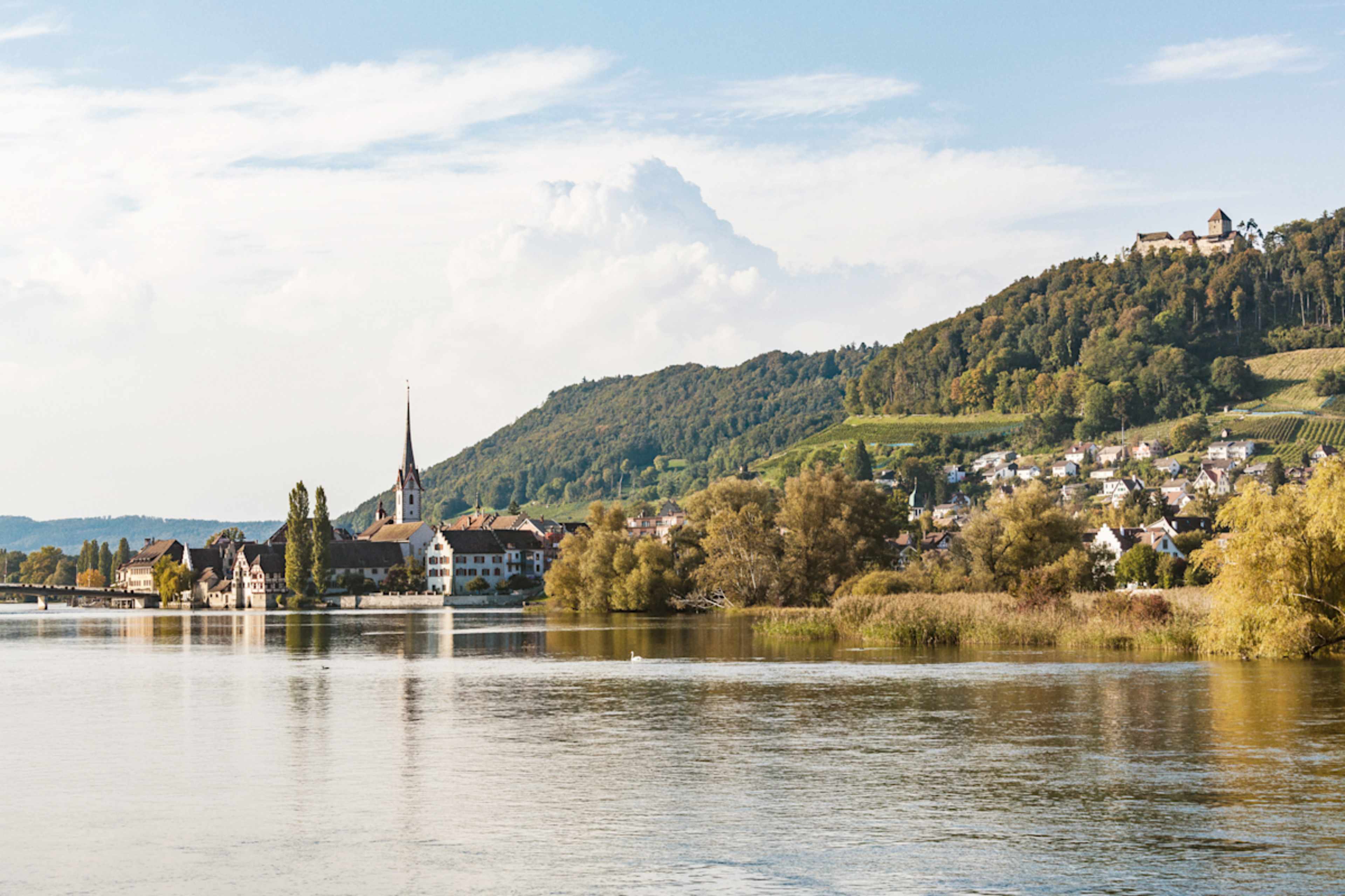 Rhine and Swiss Highlights photo 1