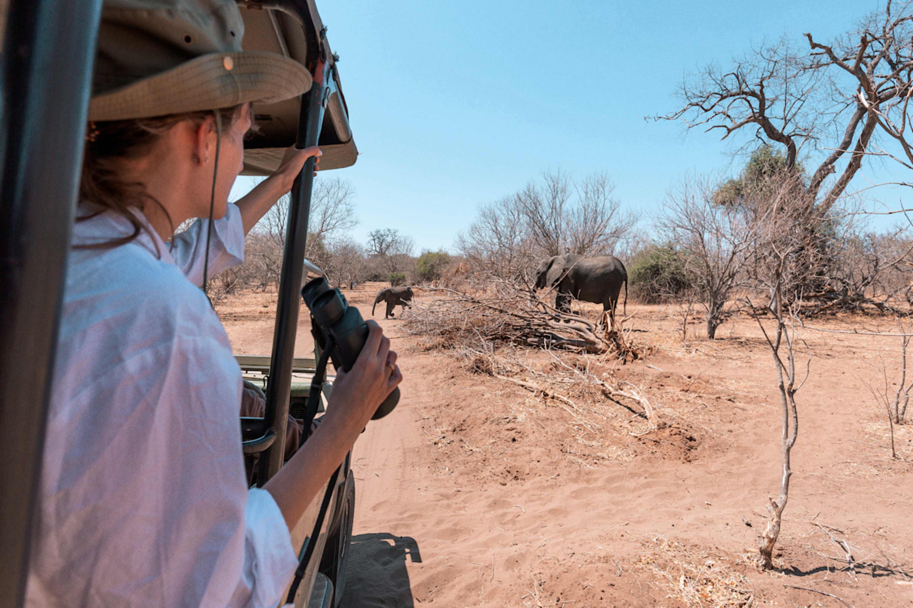 Best of Namibia photo 5