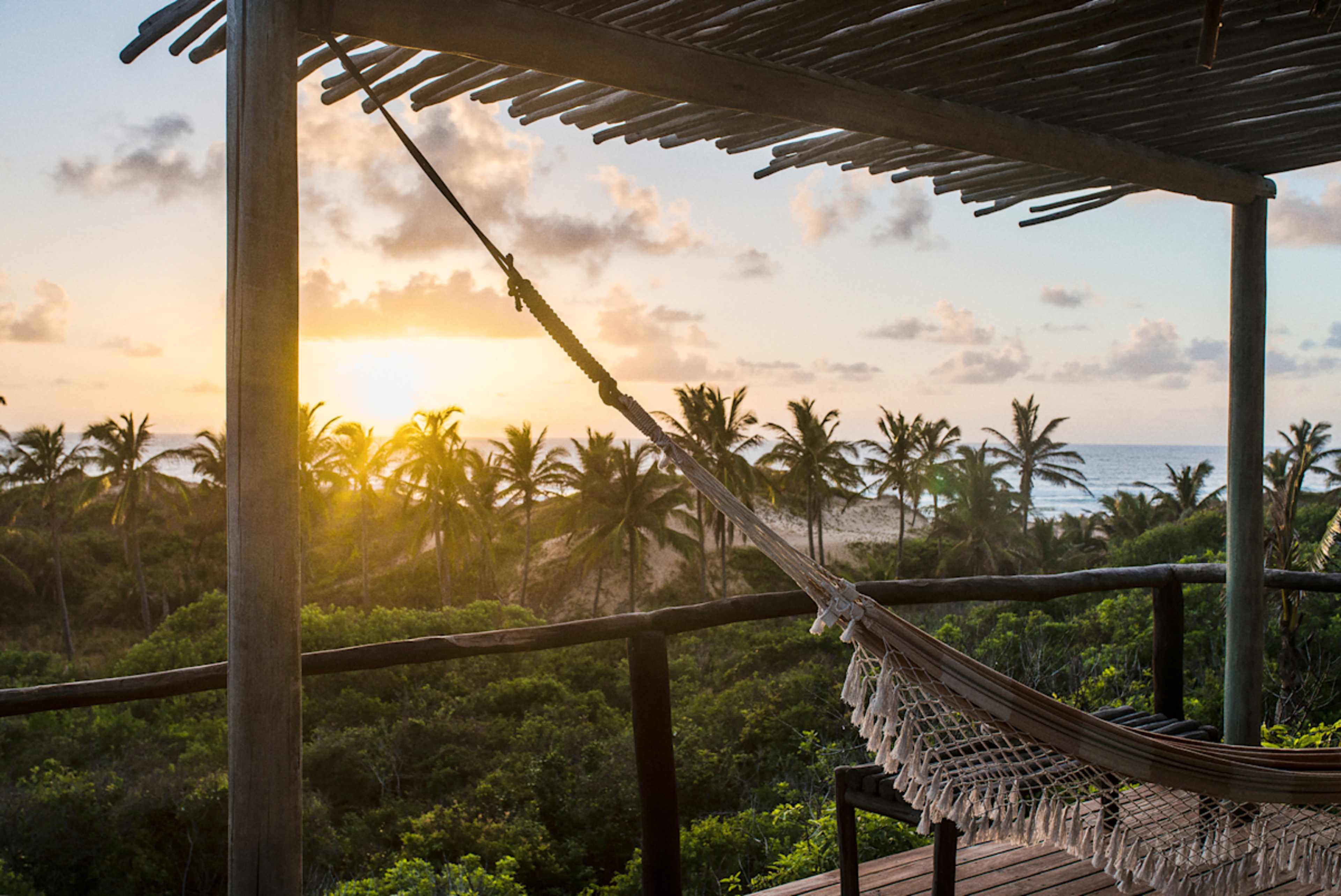 Cape, Kruger and Mozambique Honeymoon photo 5