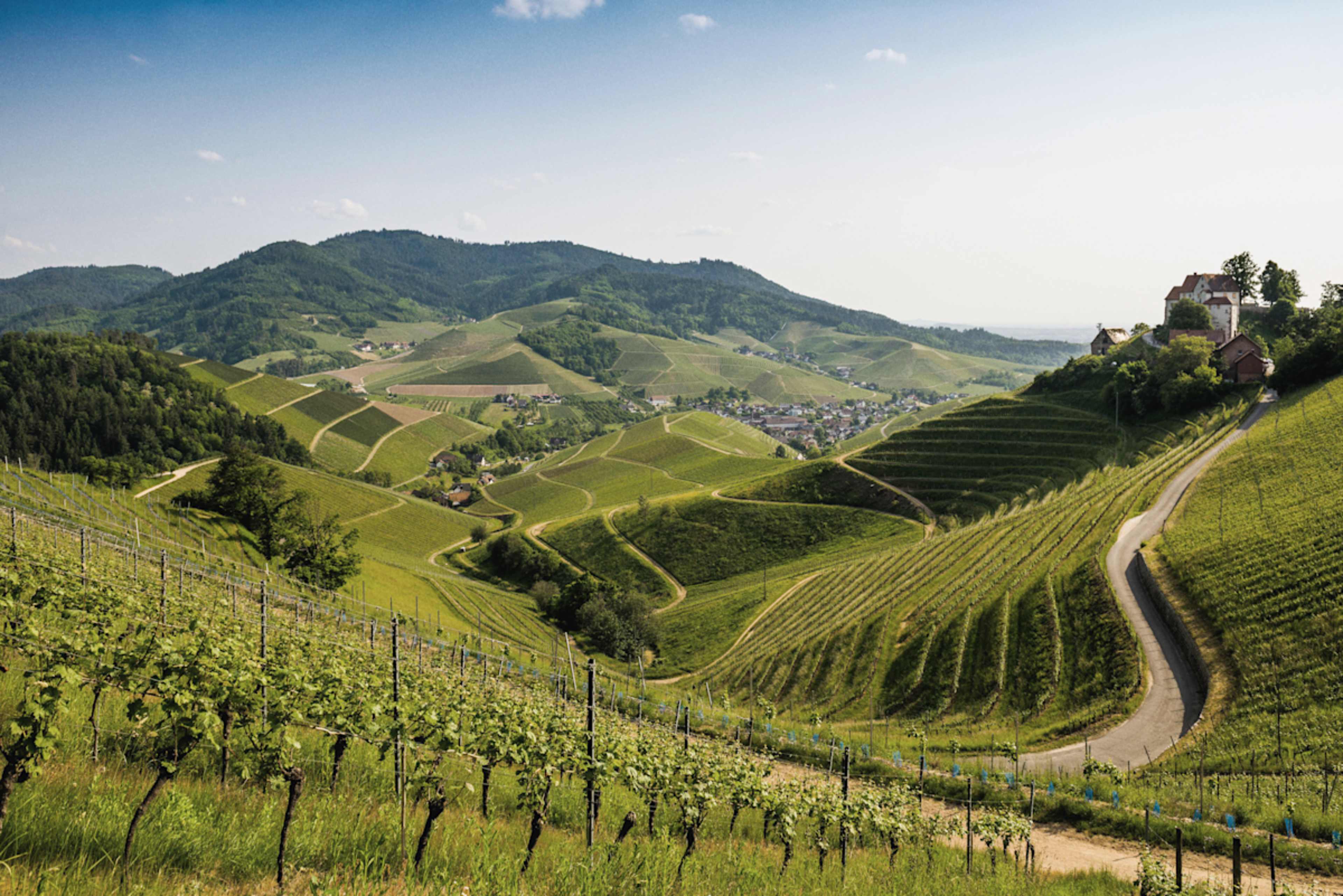 Berlin, Bavaria & Black Forest photo 5