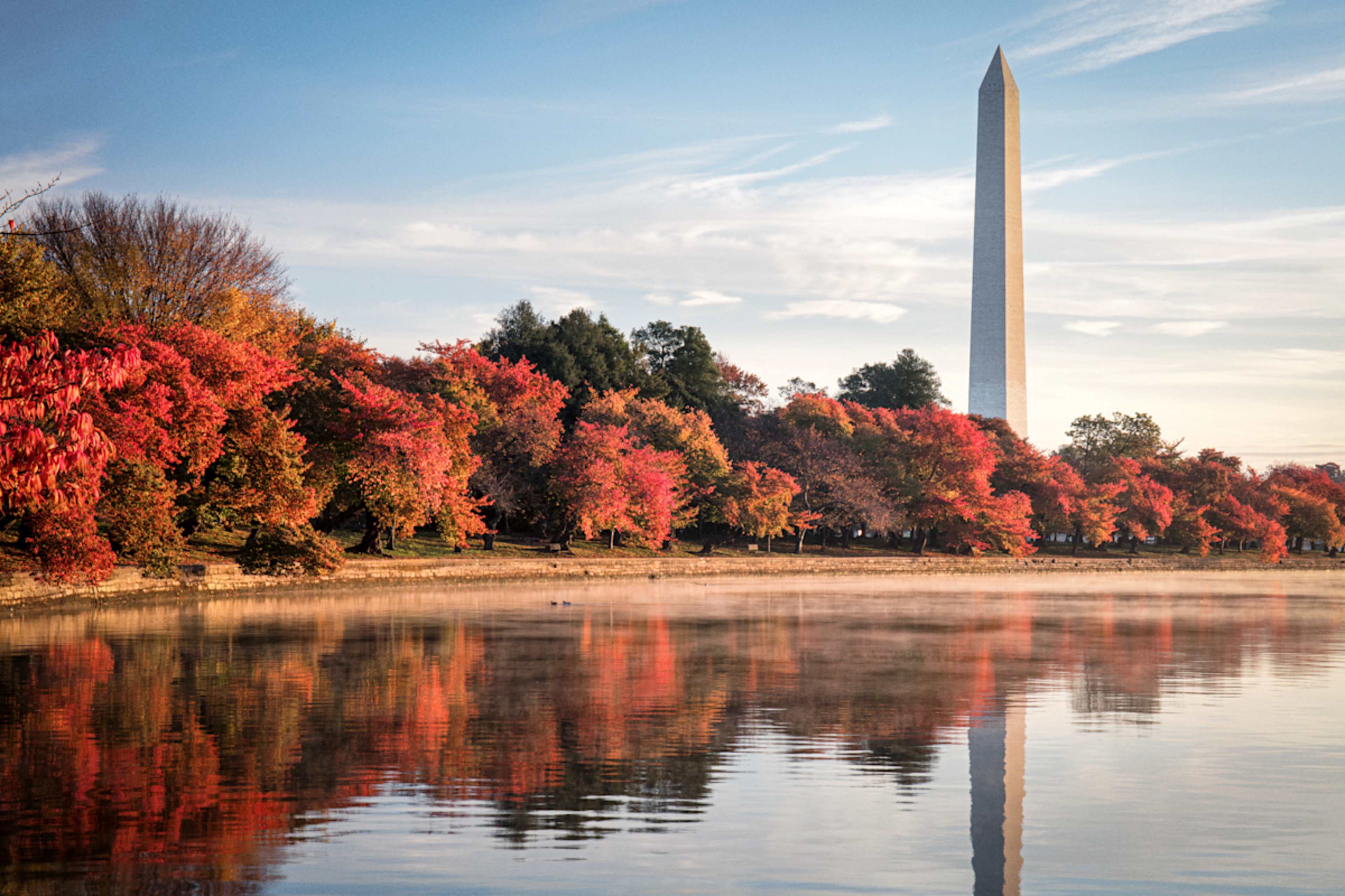 Discover New York City & Washington D.C. In Luxury  photo 1