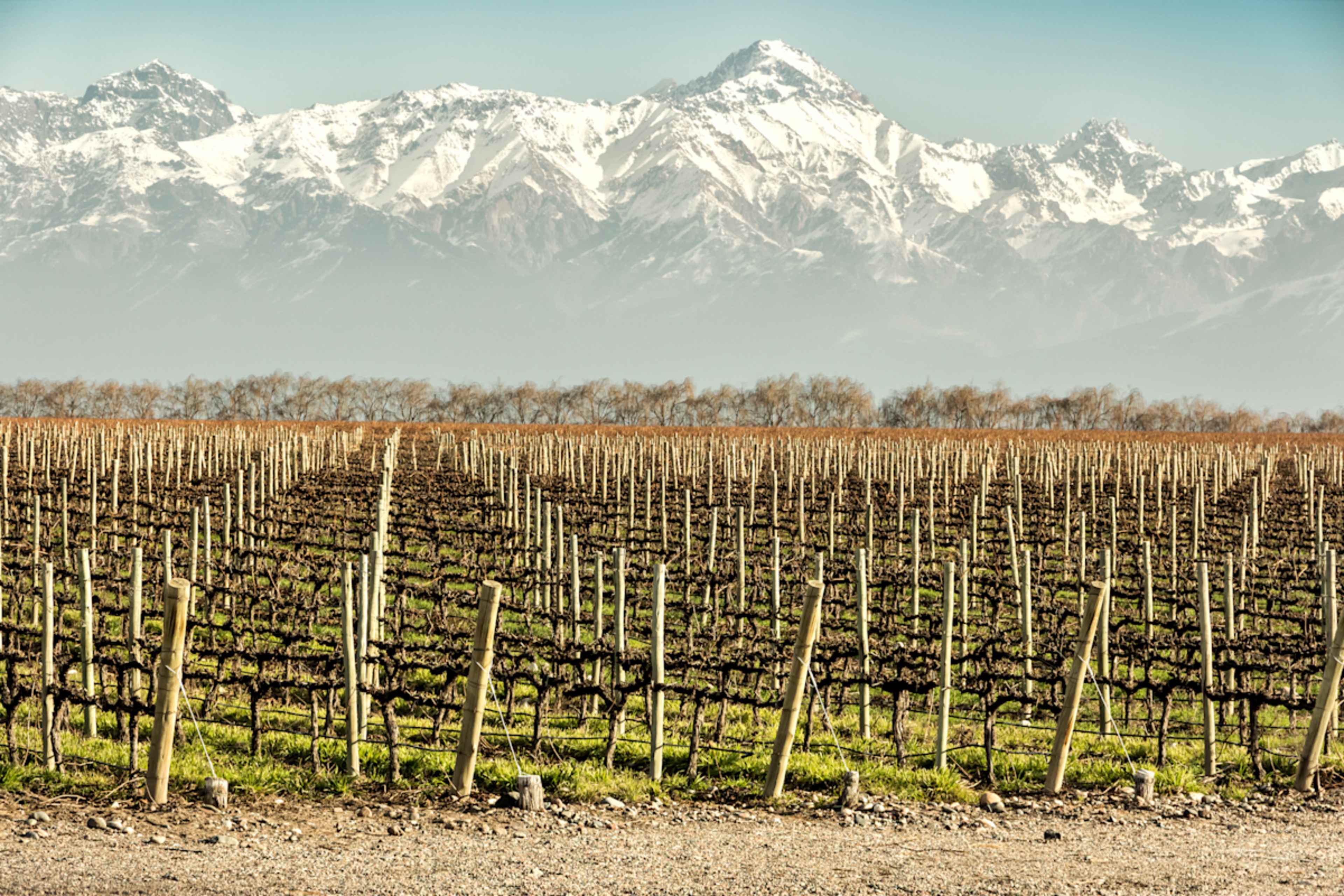 Ski the Andes: From Patagonian Slopes to Chilean Peaks photo 3