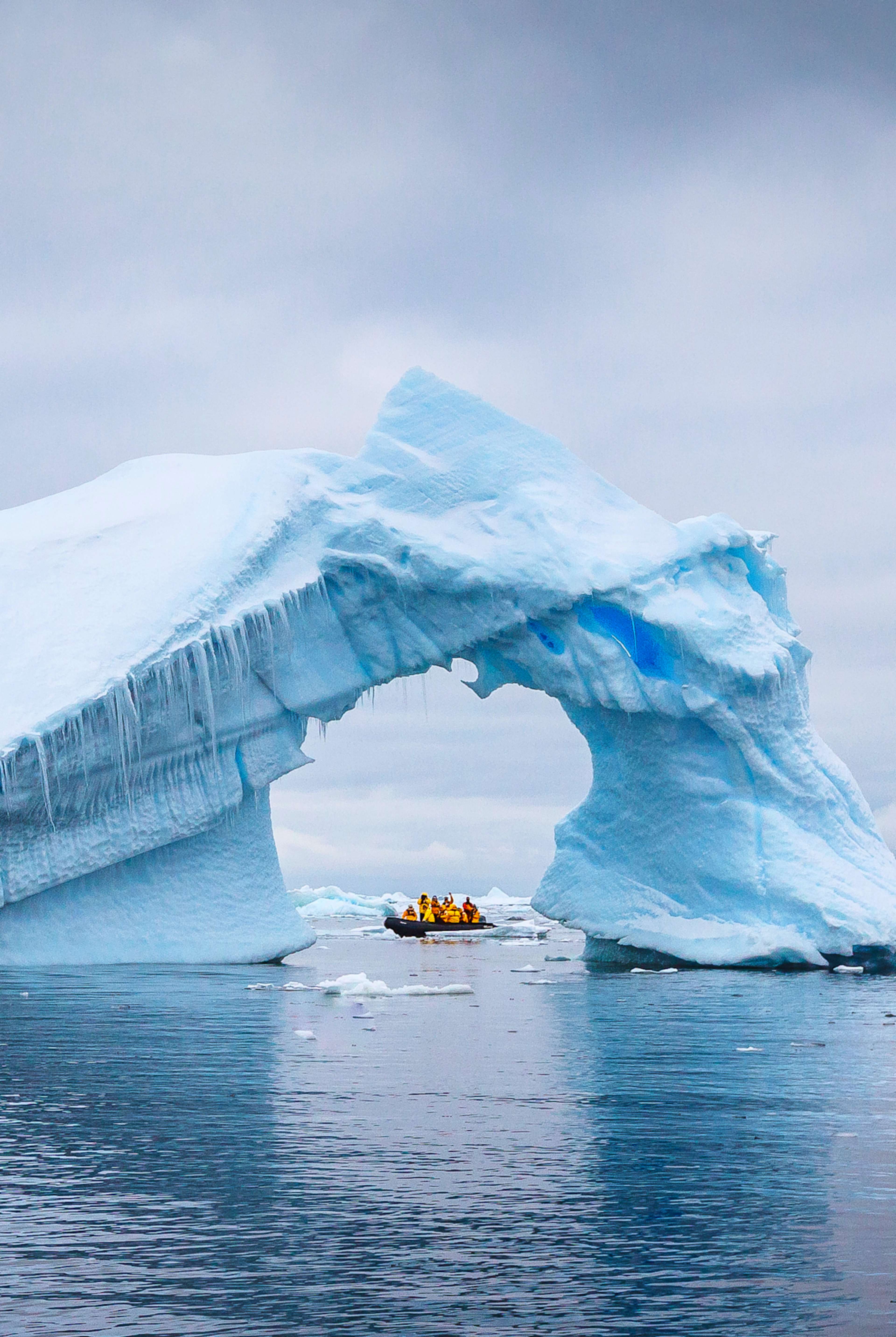 Antarctica, South Georgia & the Falkland Islands photo 2