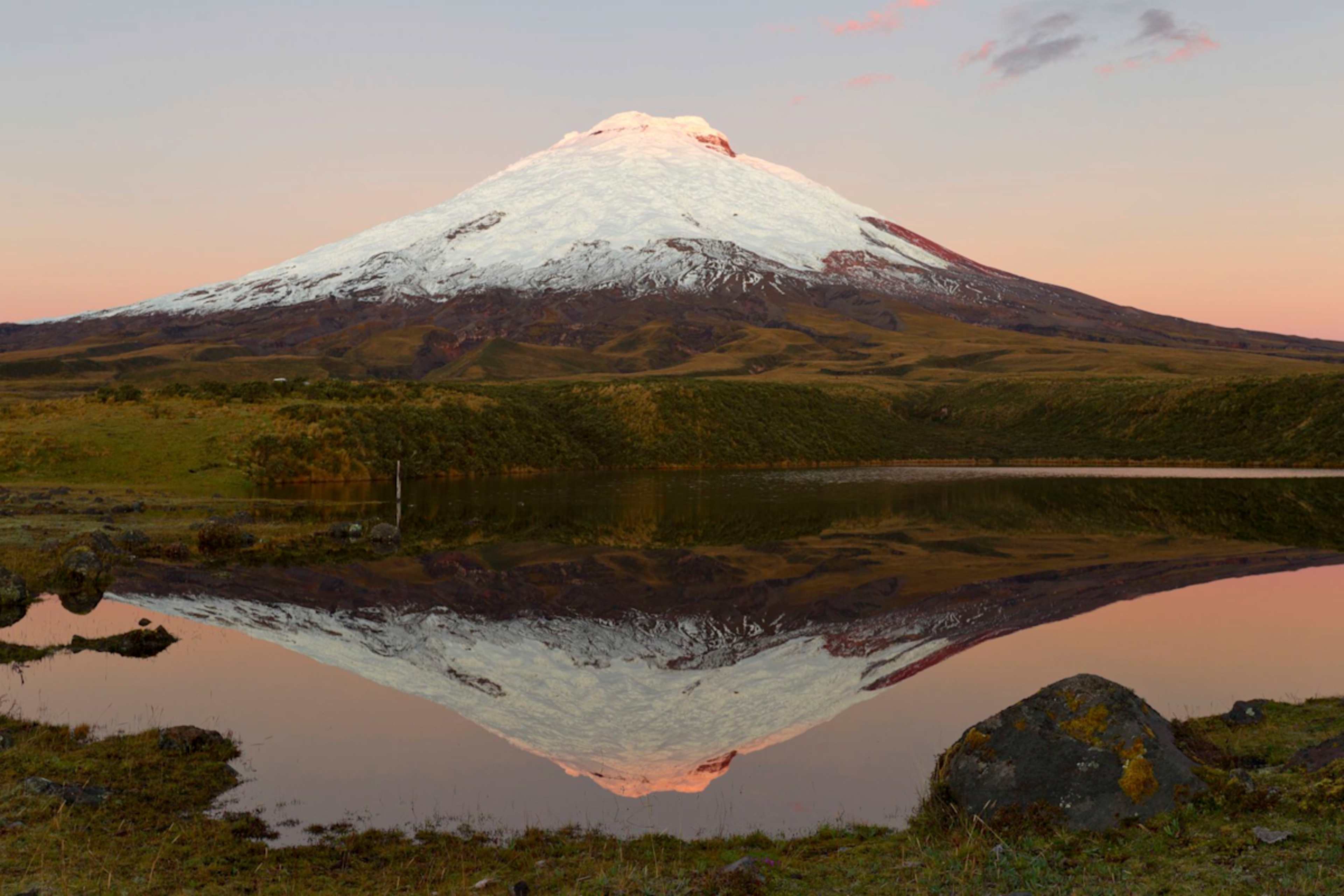Ecuador's Wild Wonders: Peaks to Cloud Forest photo 5