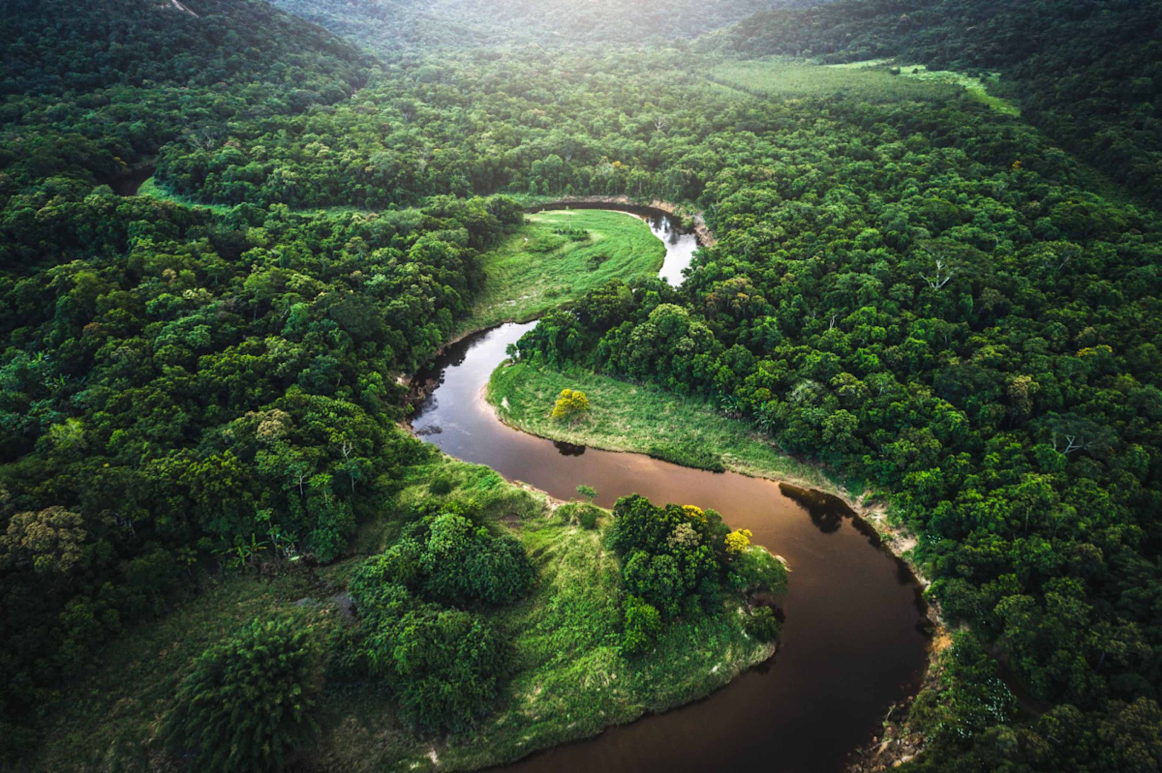 Amazon Lodge & Machu Picchu Highlights photo 5