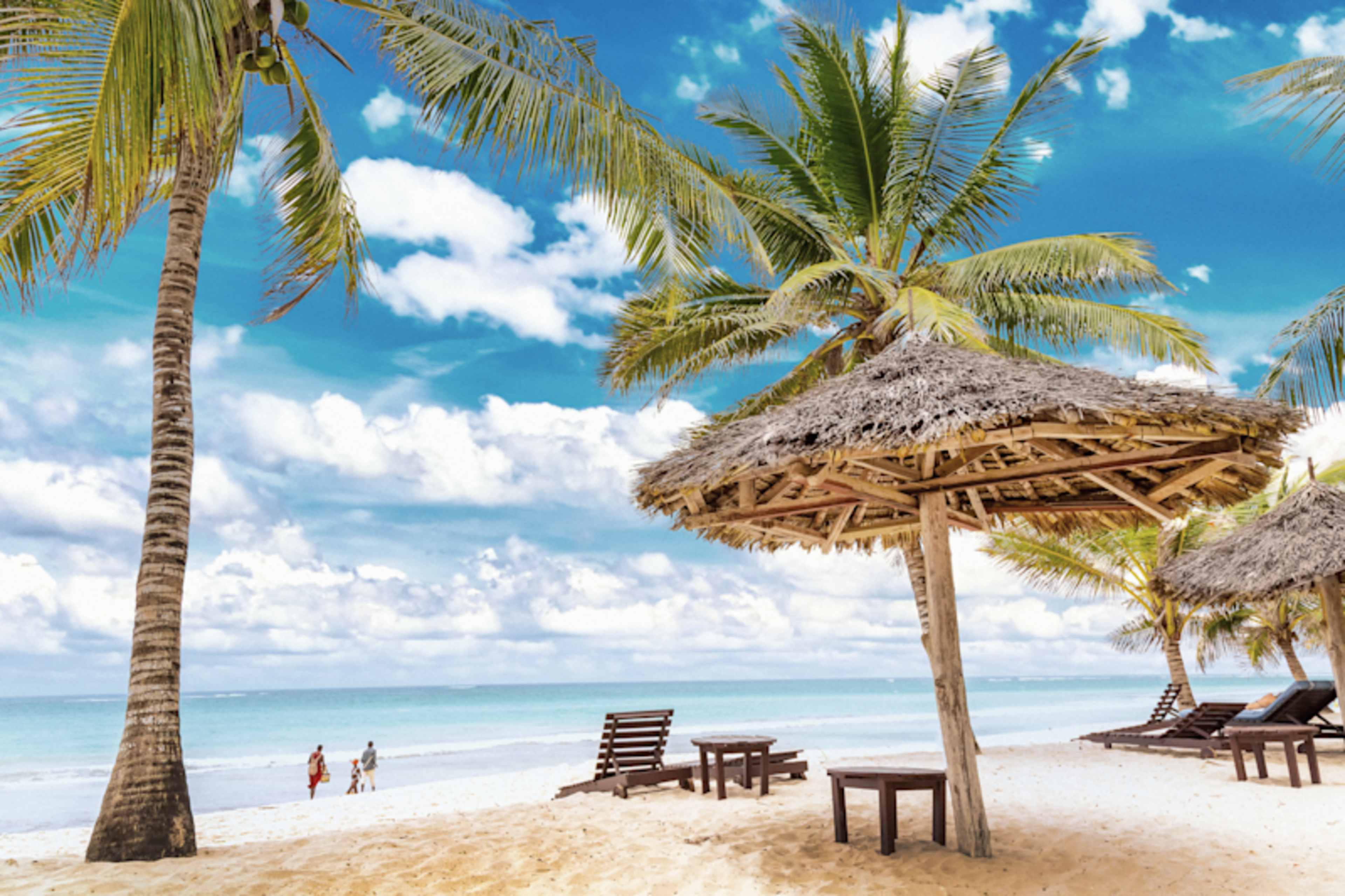 Iconic Kenya Parks & Diani Beach Paradise photo 1