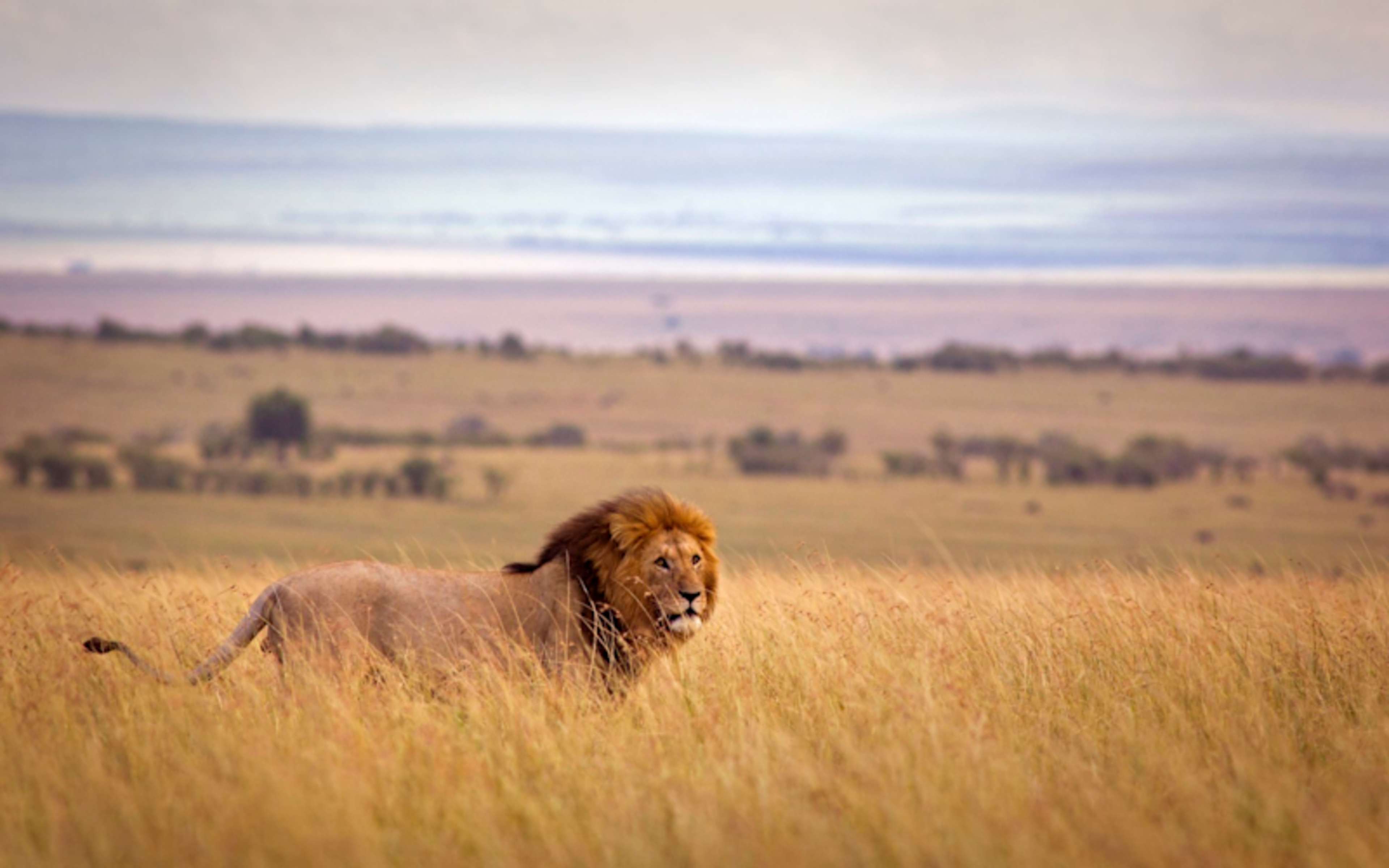 Egypt & Kenya: Ancient Pyramids & Big Five Safari photo 4