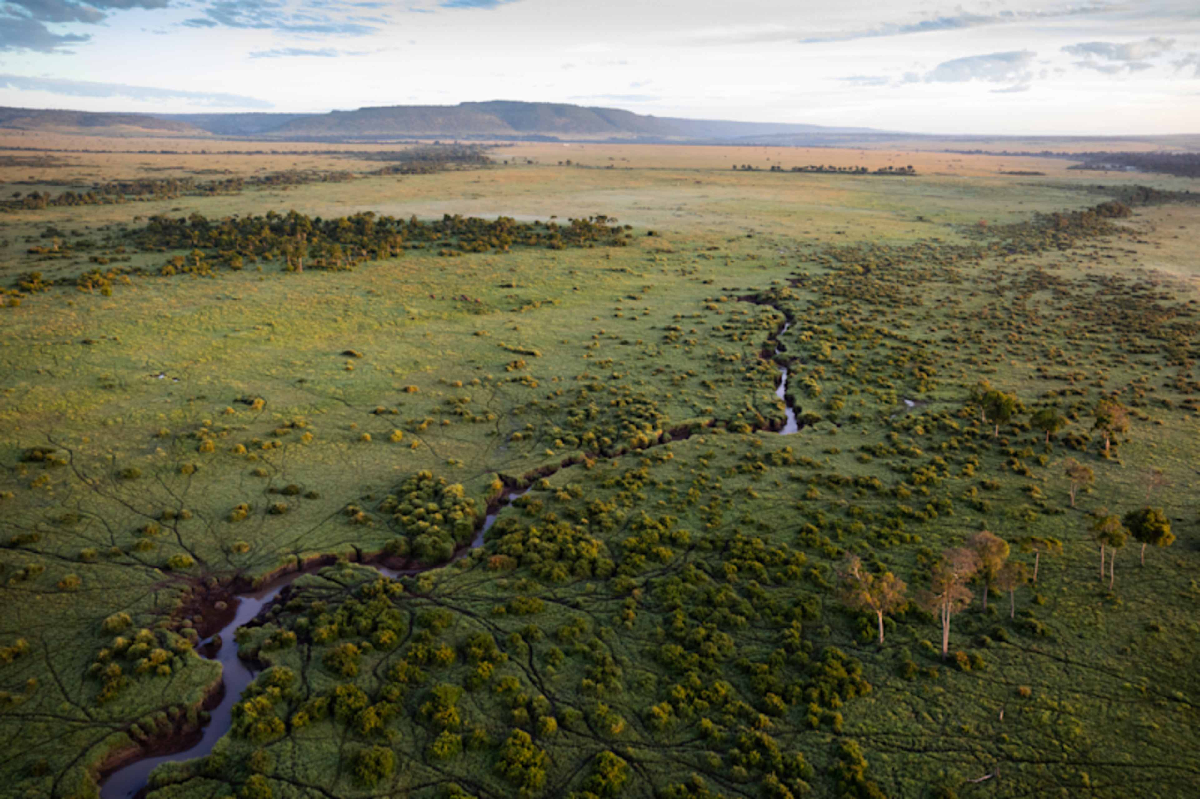 Kenya & Uganda: Gorillas & Big Five Adventure photo 4