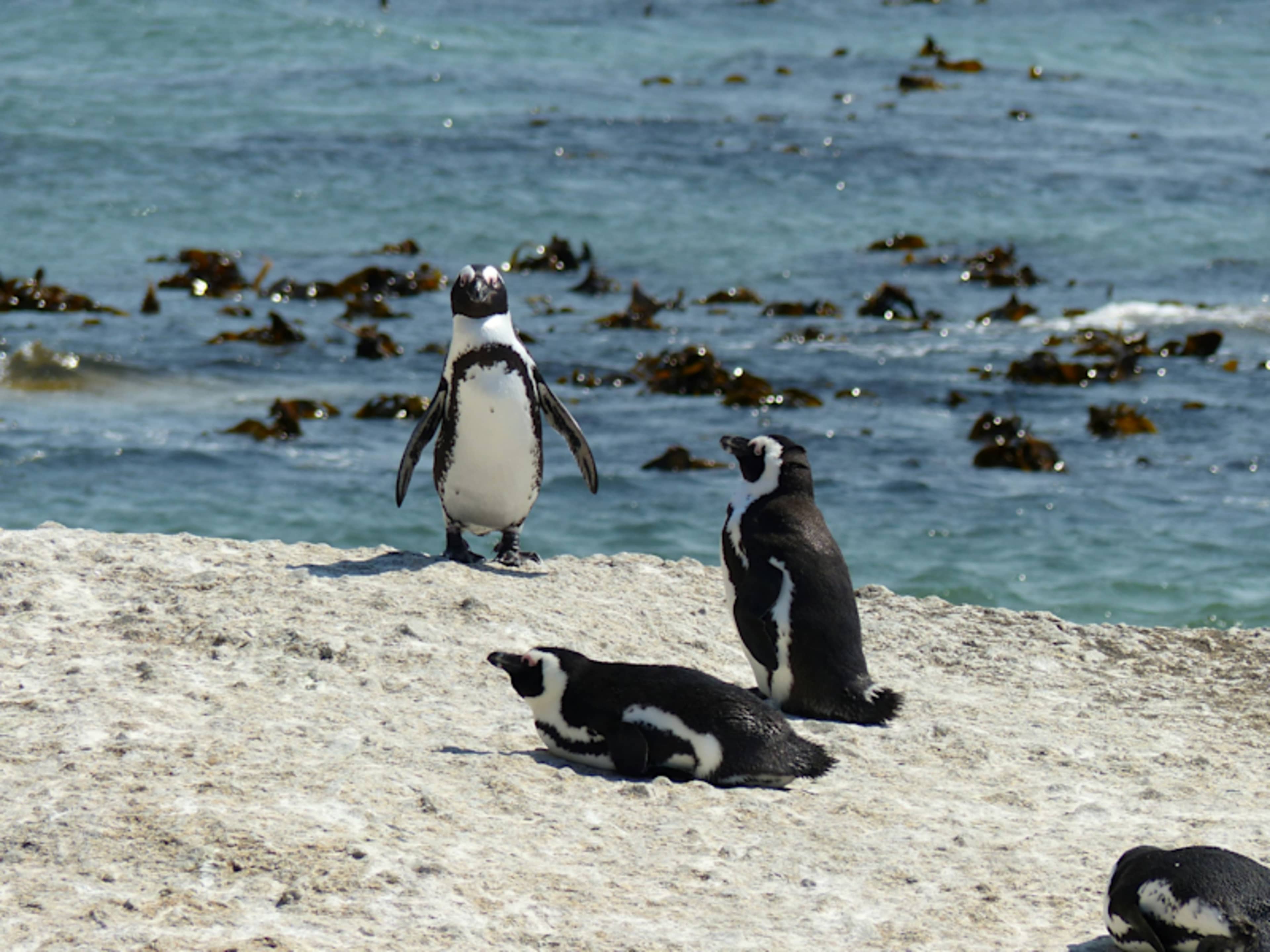 Best of Southern Africa photo 2