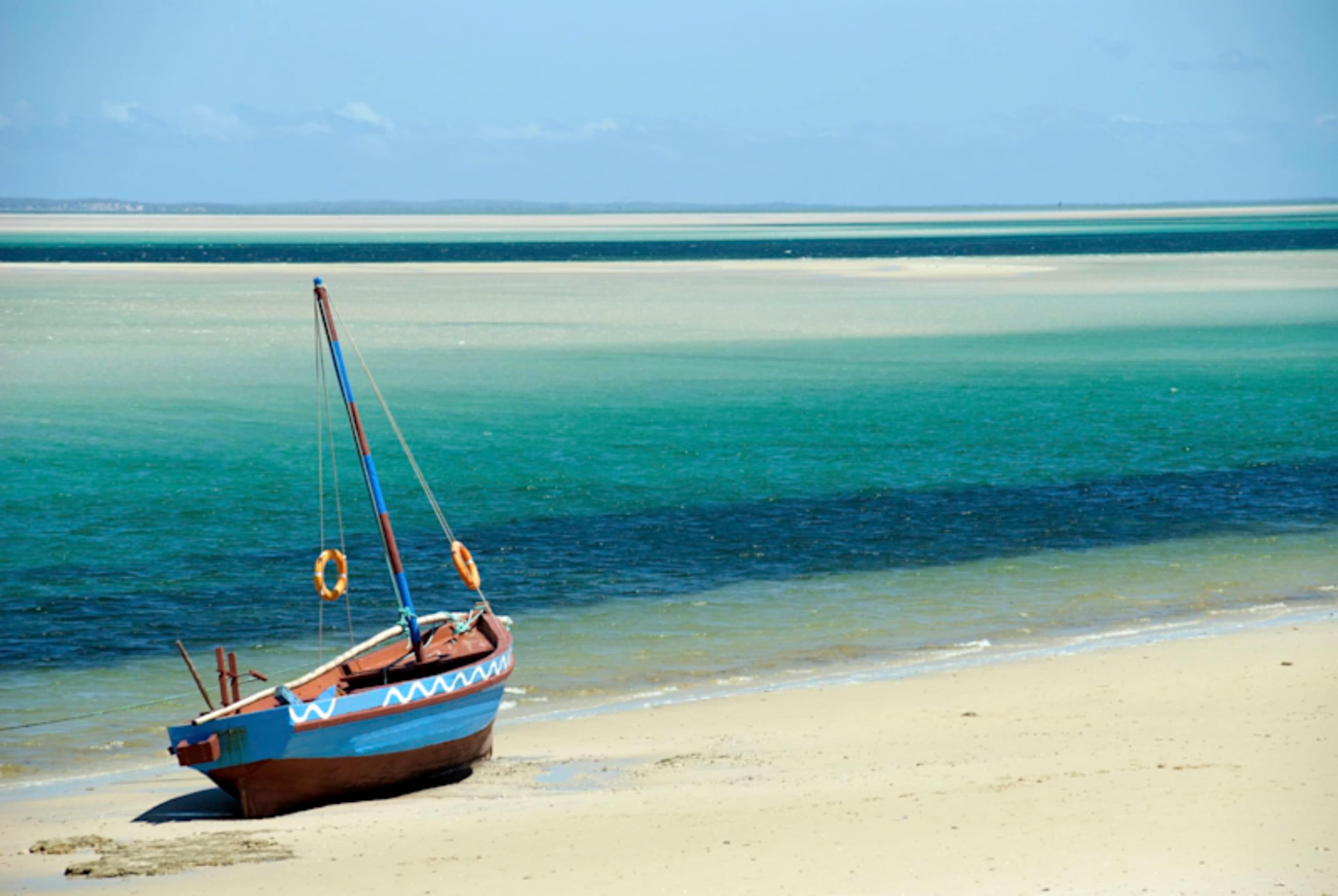 Cape, Kruger and Mozambique Honeymoon photo 1