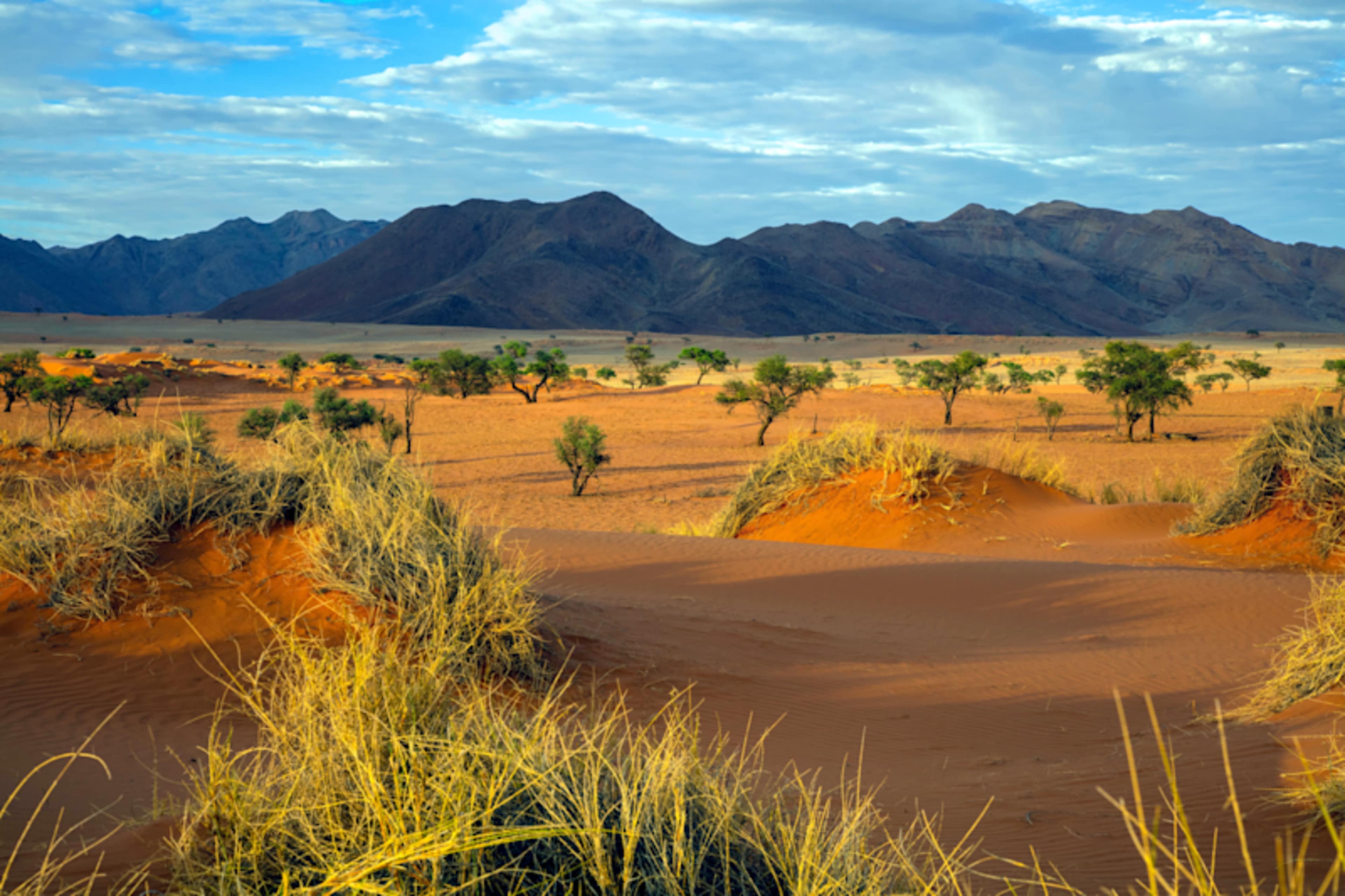 Namibia Highlights photo 4