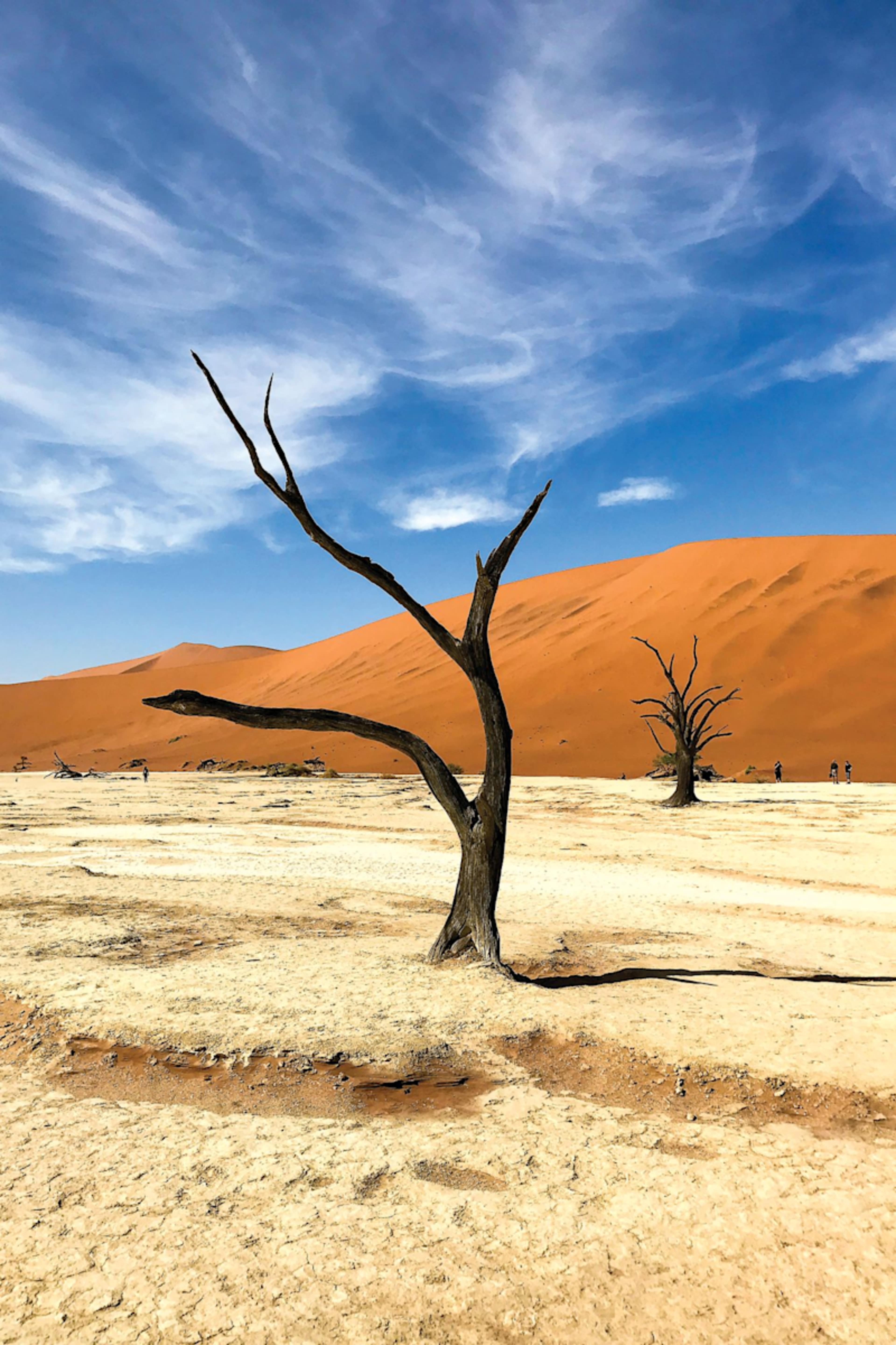 Best of Namibia photo 2