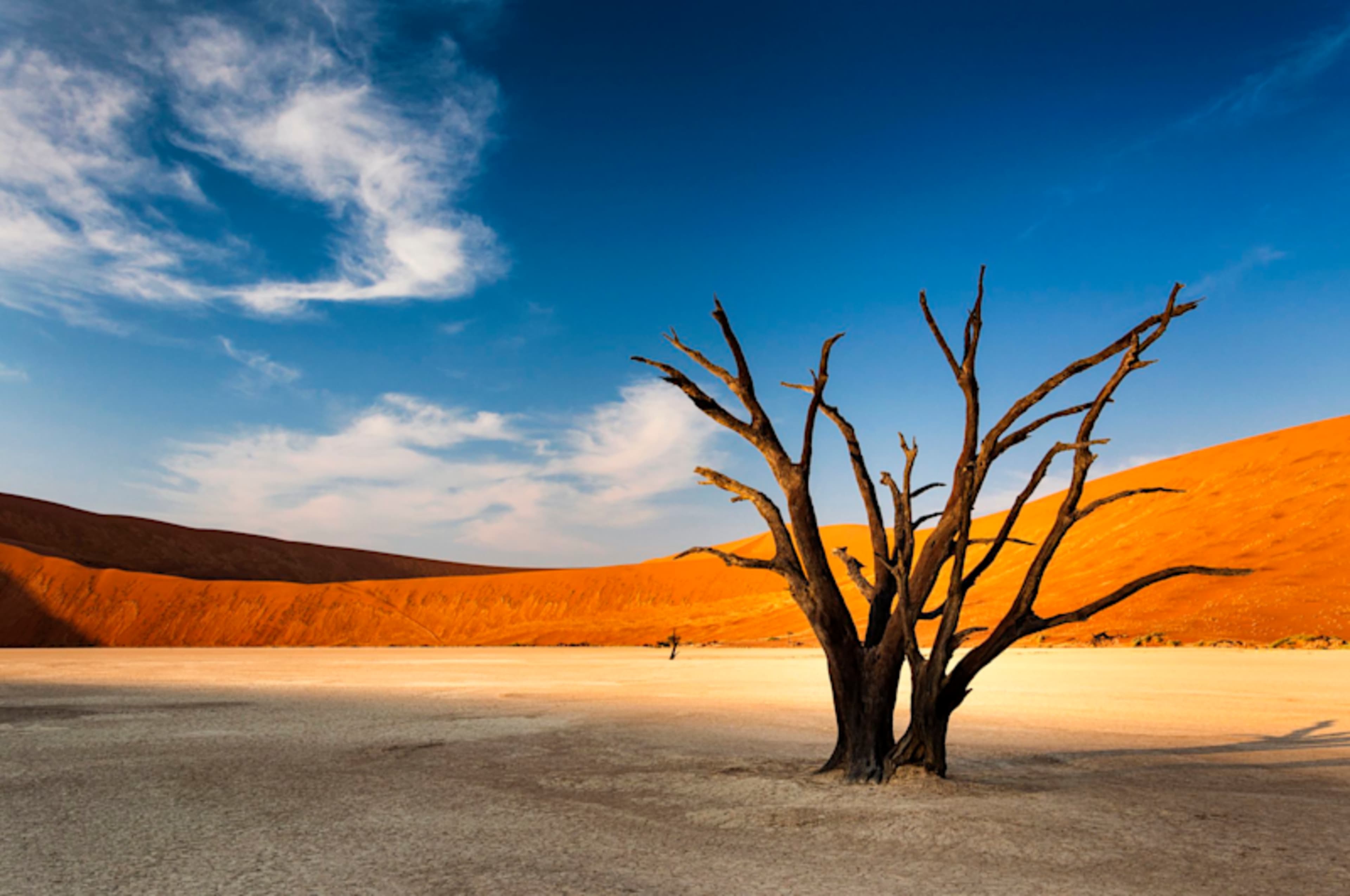 Wild Frontiers of Botswana & Namibia photo 1