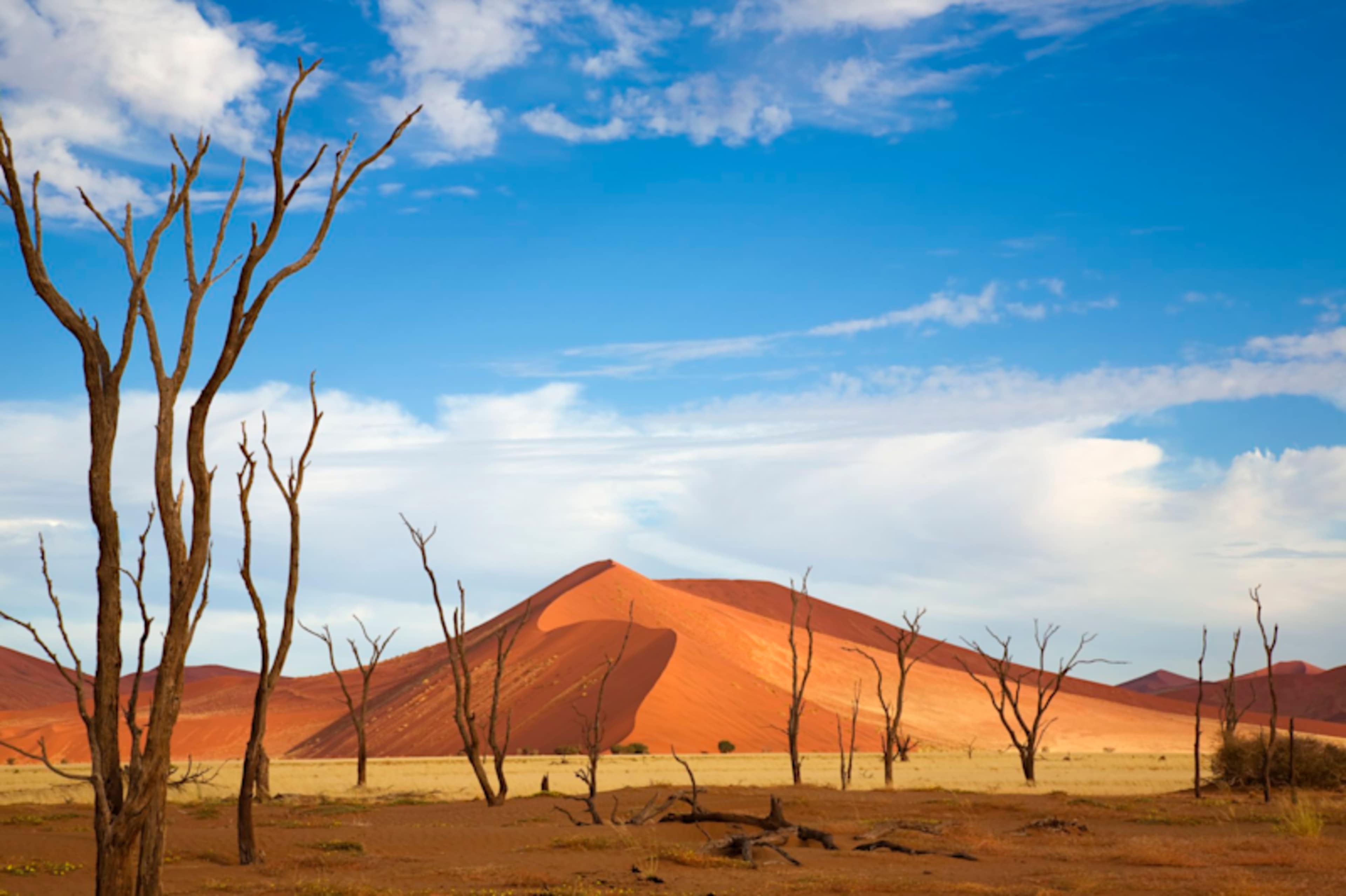 Namibia Highlights photo 1