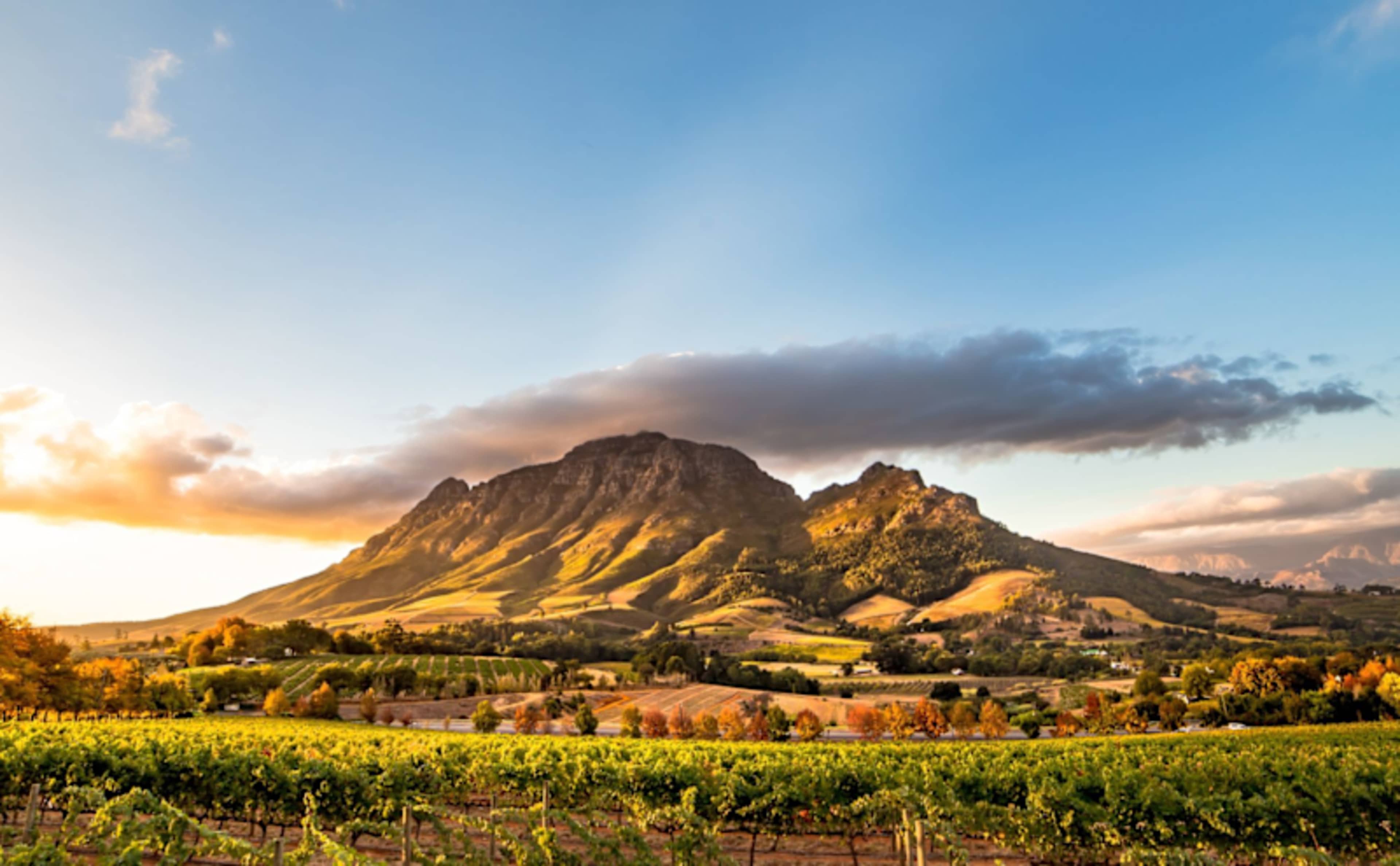 South Africa Culture & Cuisine photo 4