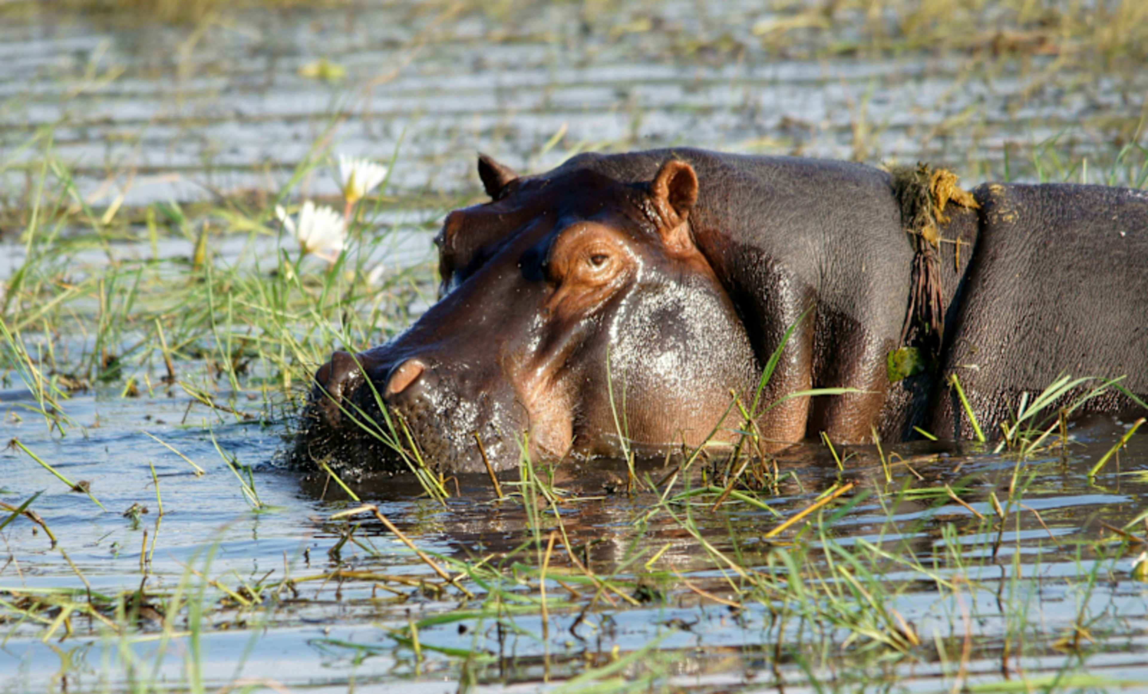The Grand African Safari: Crater to Cape Town photo 3