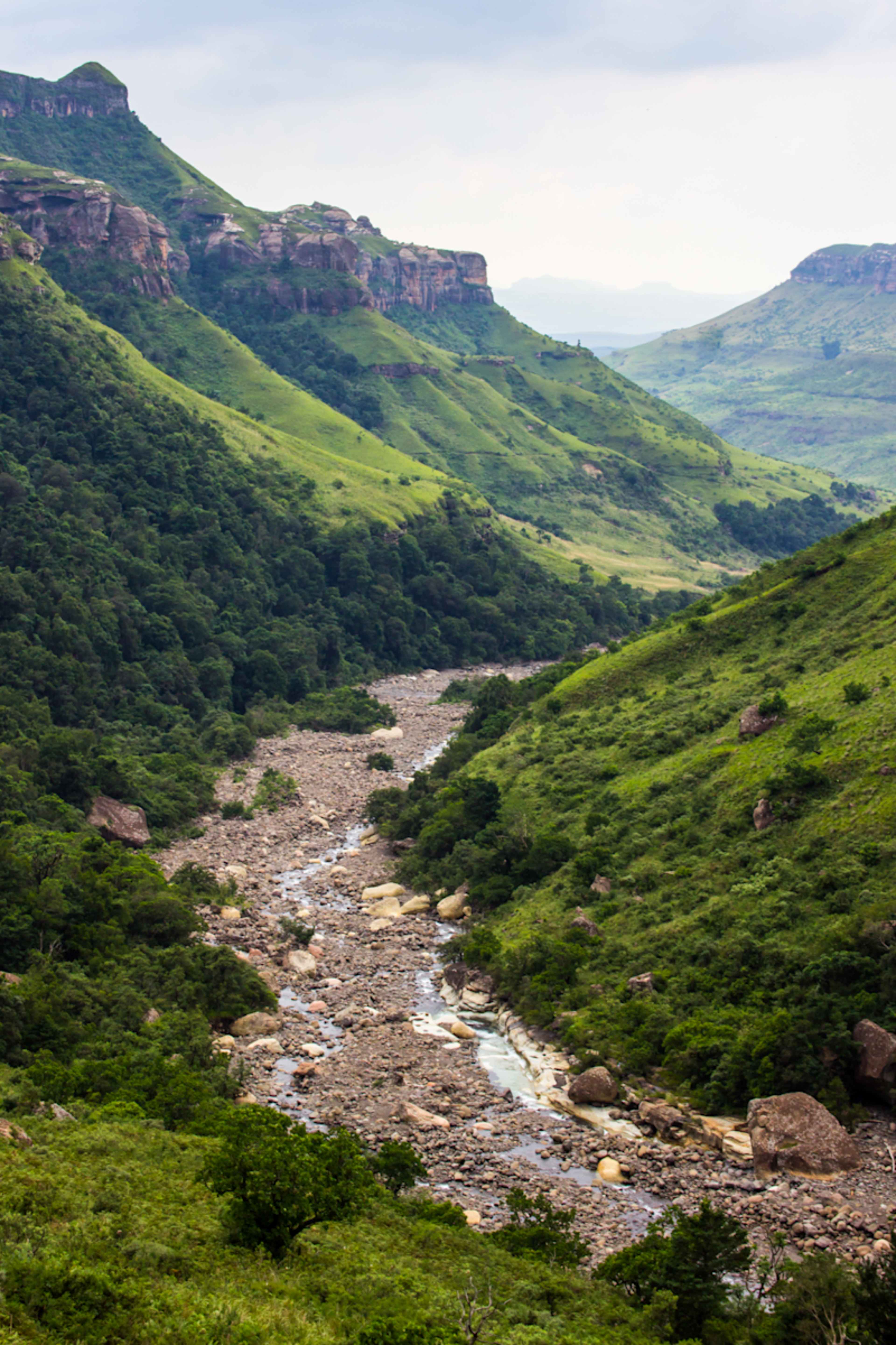 Thrill-Seekers South Africa: Hike, Surf & Safari photo 2