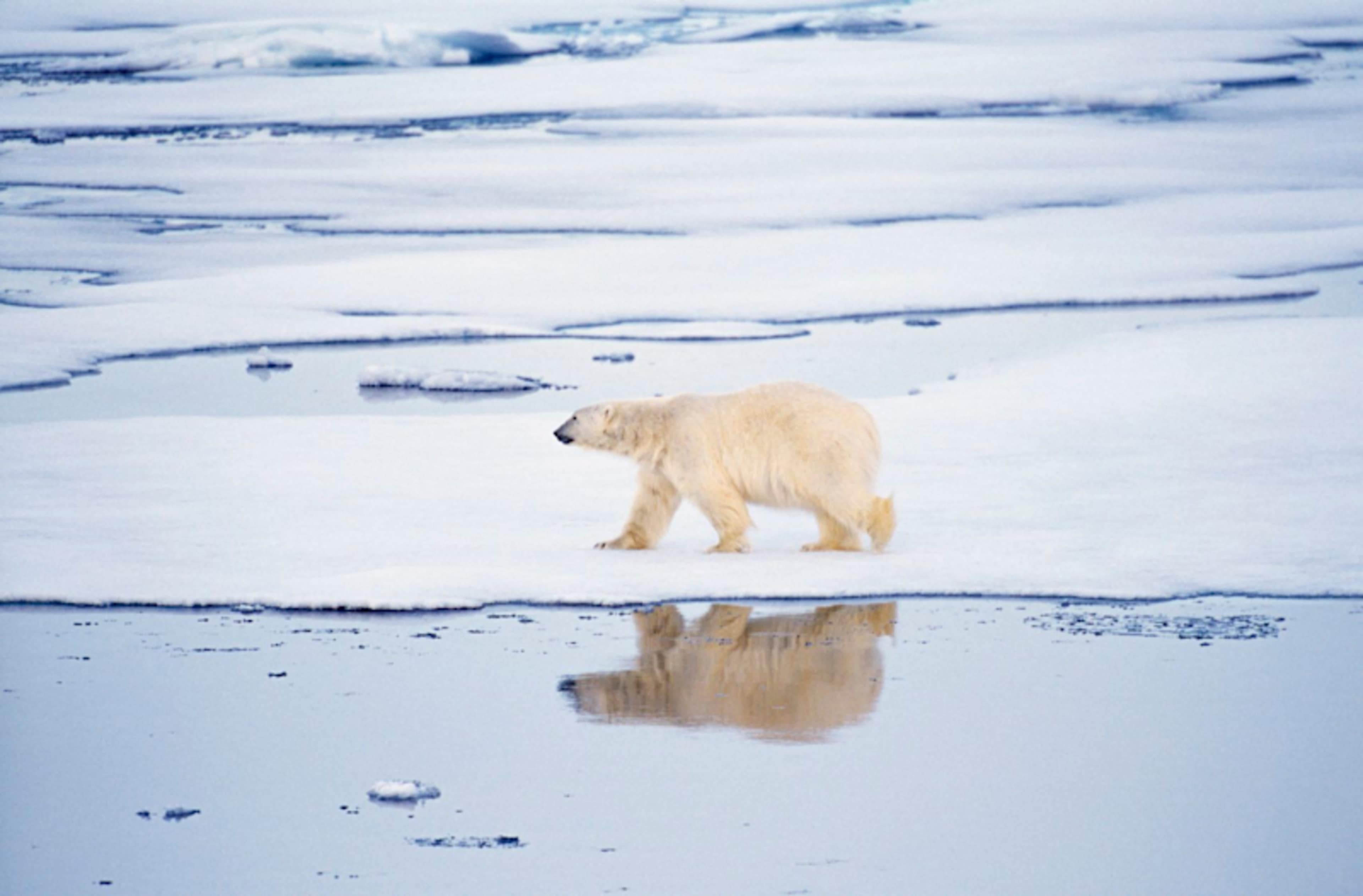 Spitsbergen Expedition Cruise & Baltic Highlights photo 2