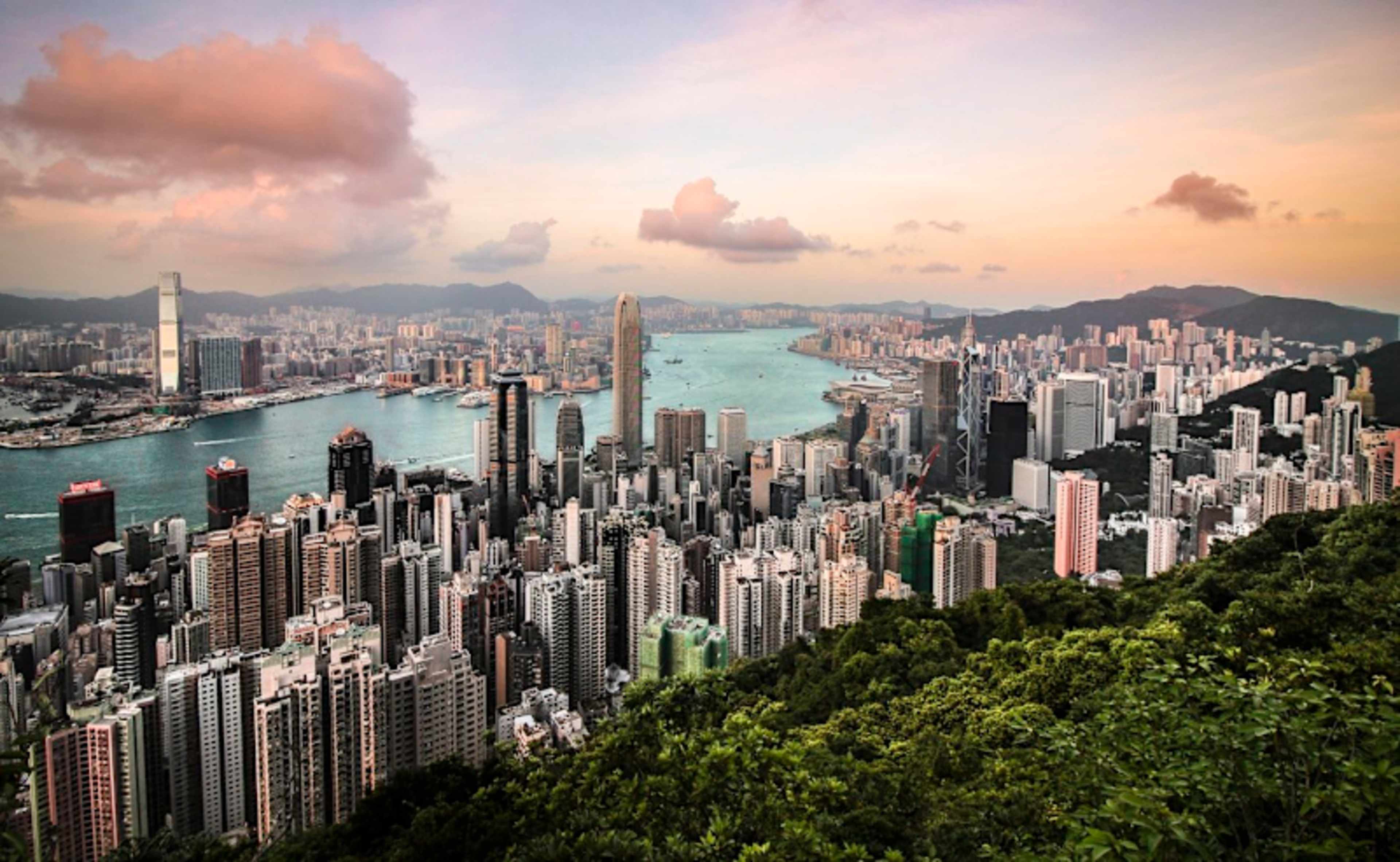 Hong Kong Discovery photo 4