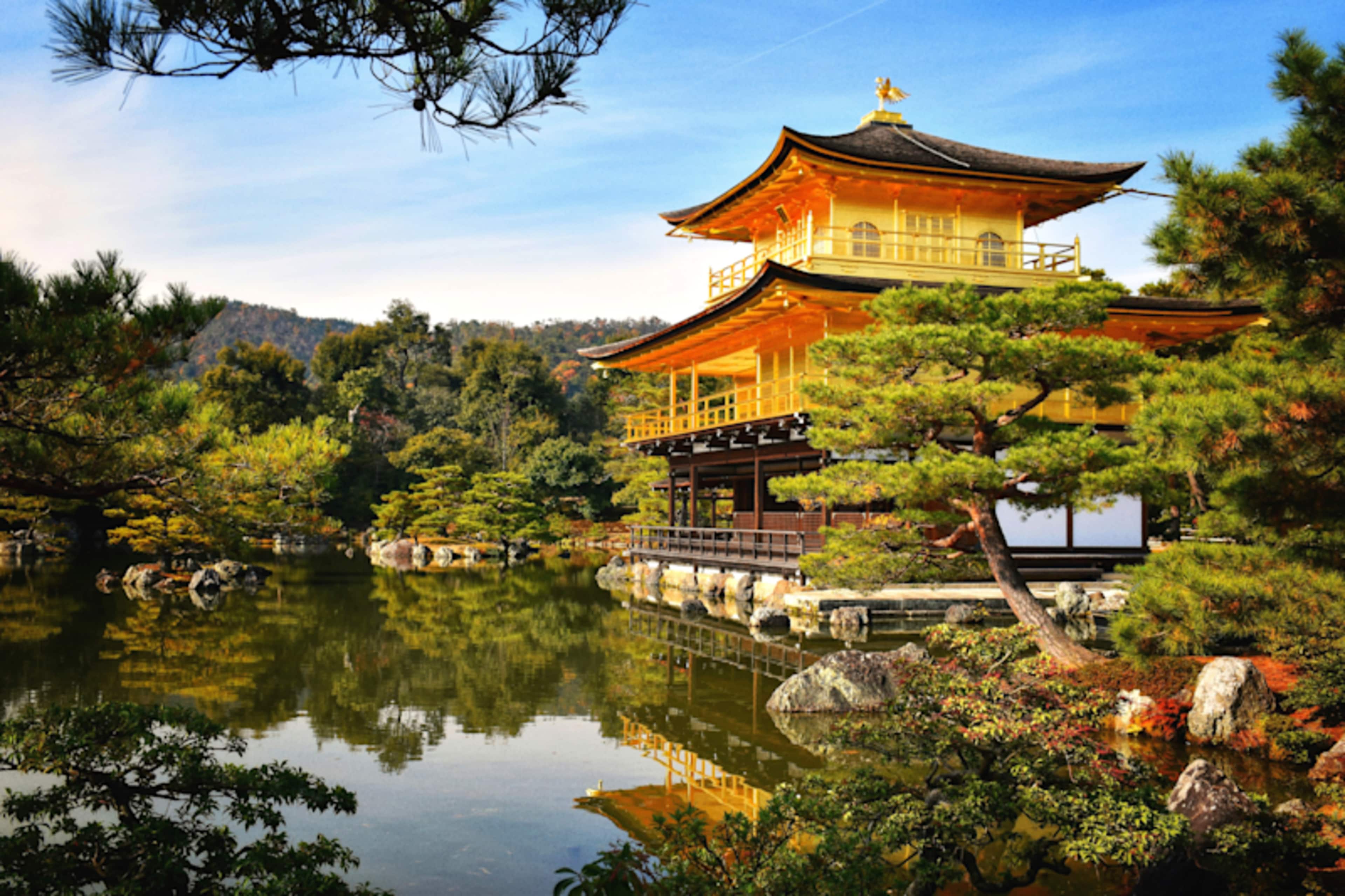 Essential Japan Discovery photo 1