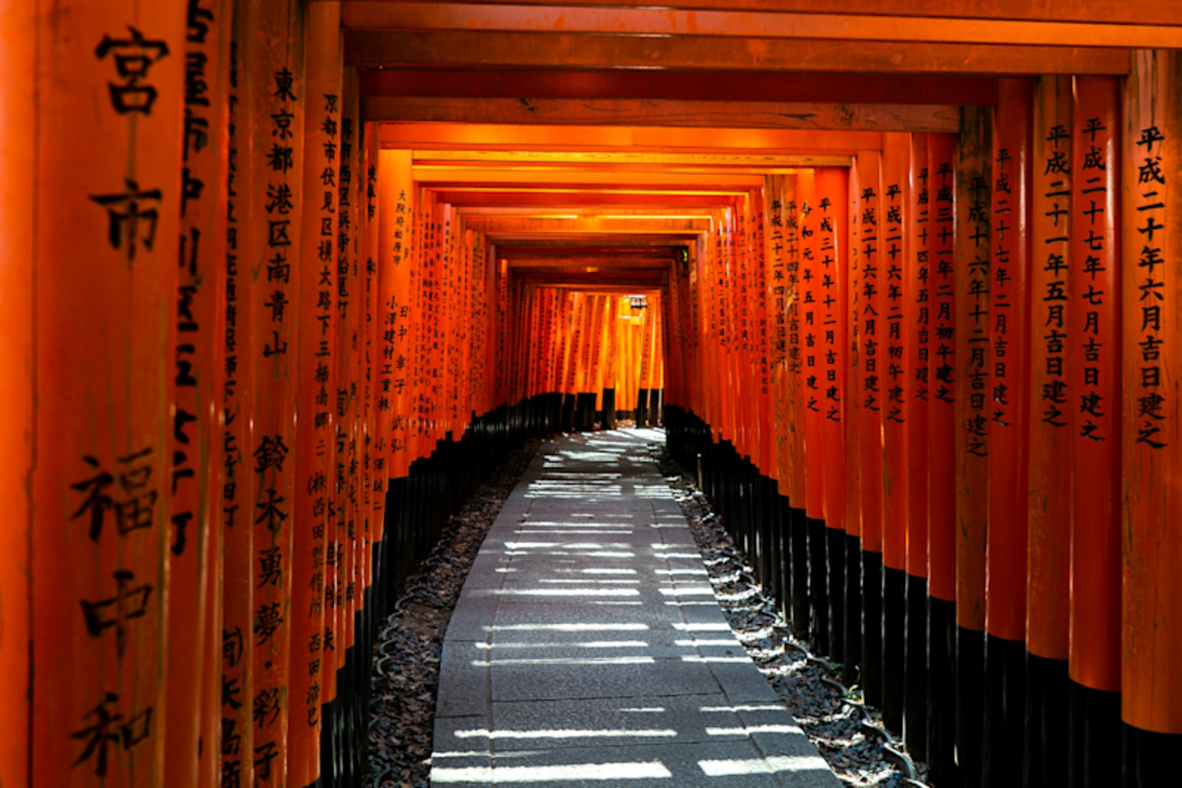 Japan Winter Escape: Shrines & Snow Monkeys photo 4