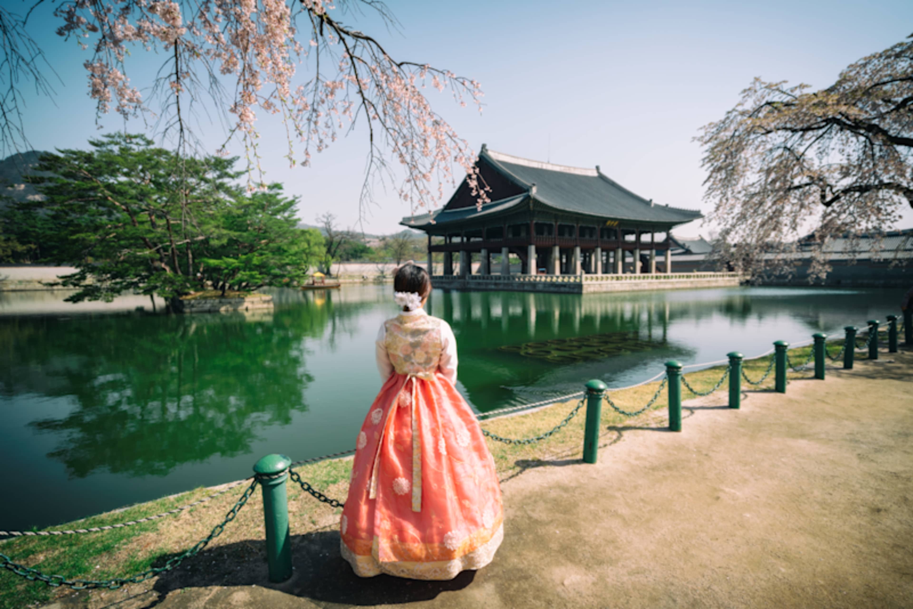 South Korea: Cherry Blossom Edition photo 2