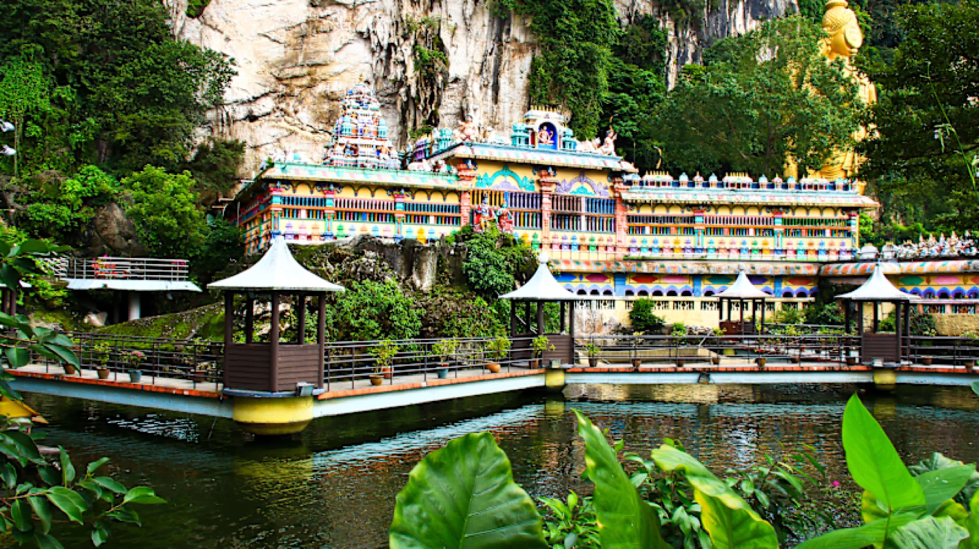 Wildlife Wonders of Malaysia photo 3