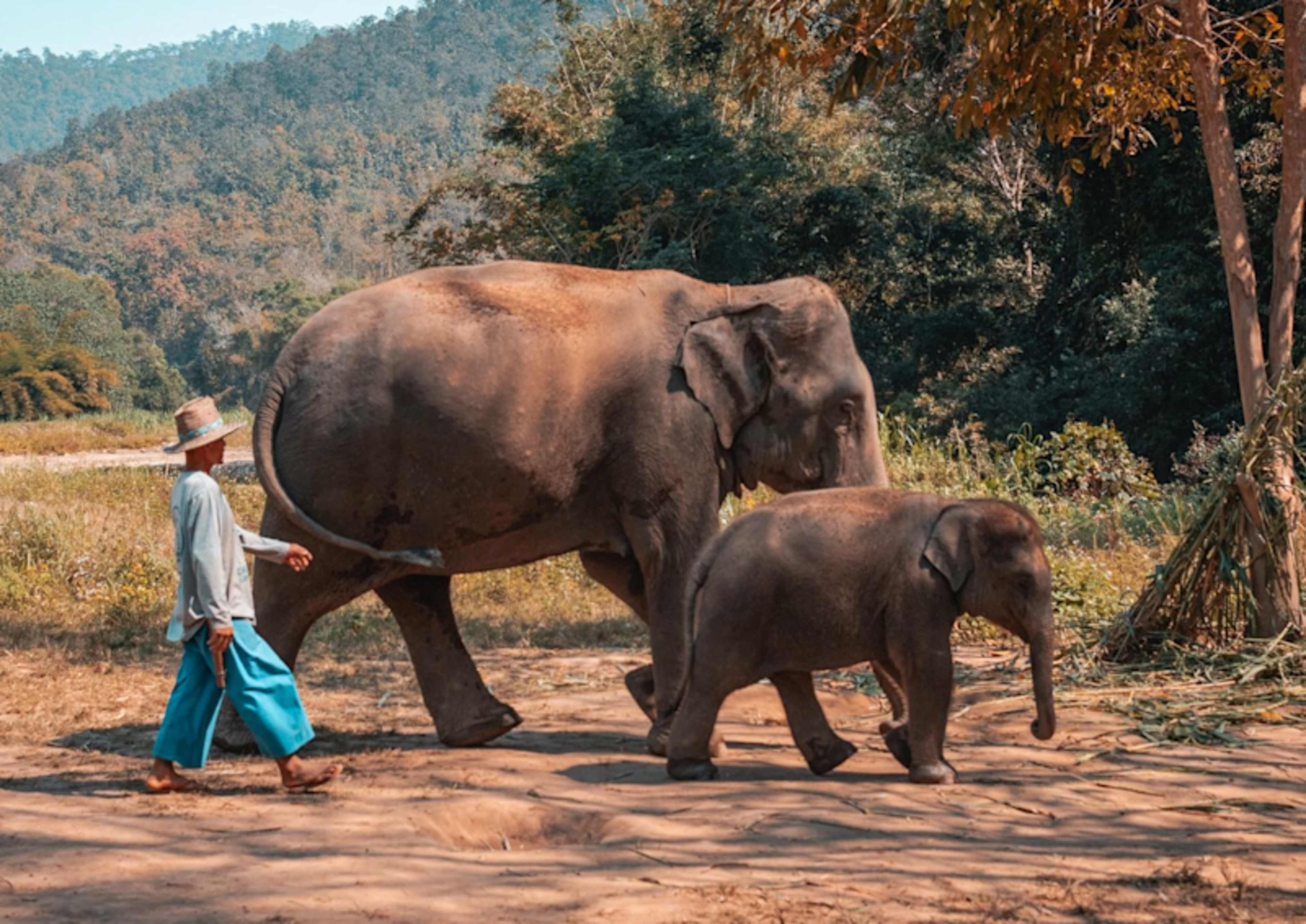 Vietnam, Cambodia & Thailand Signature photo 4