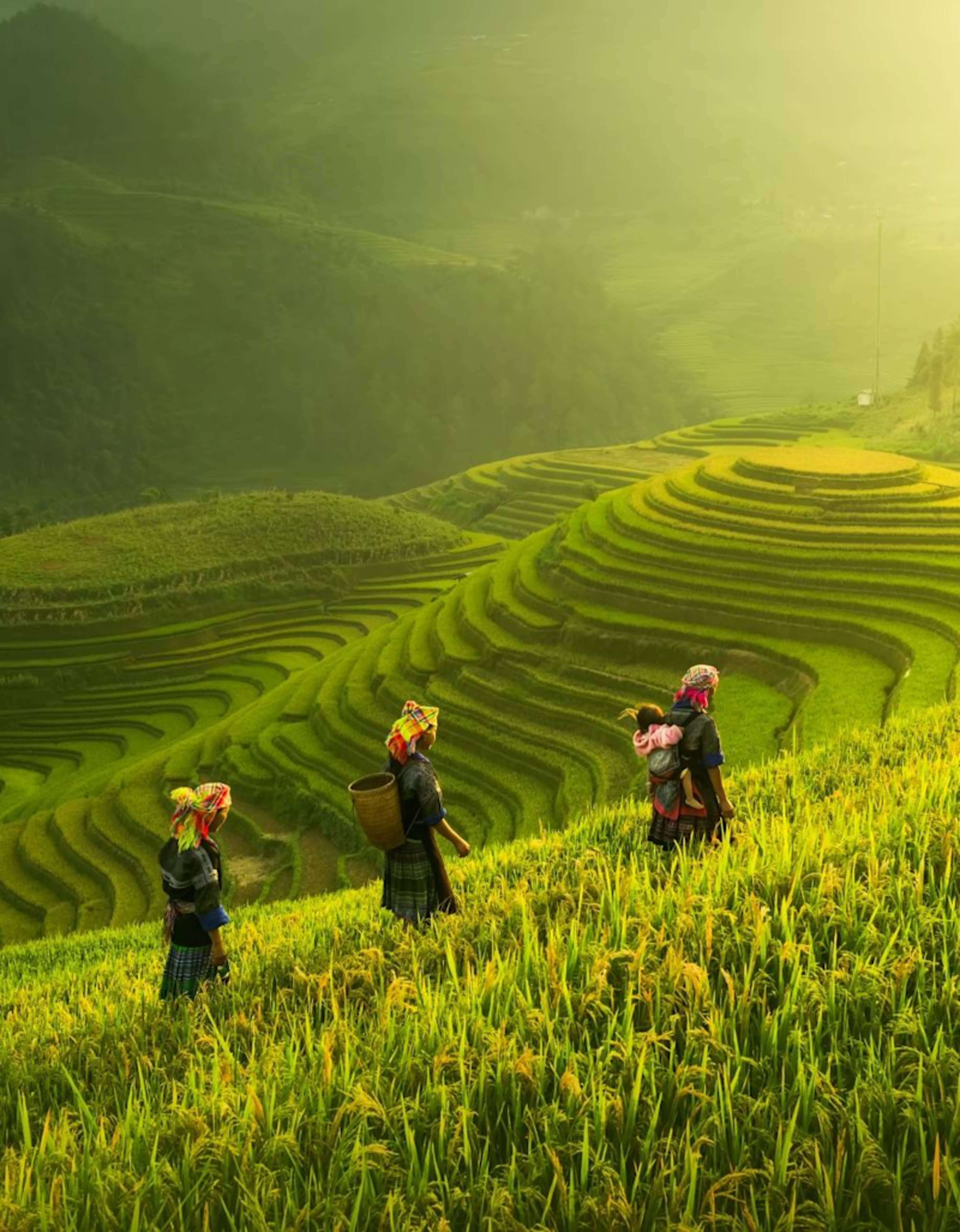 Vietnam, Cambodia & Thailand Signature photo 3