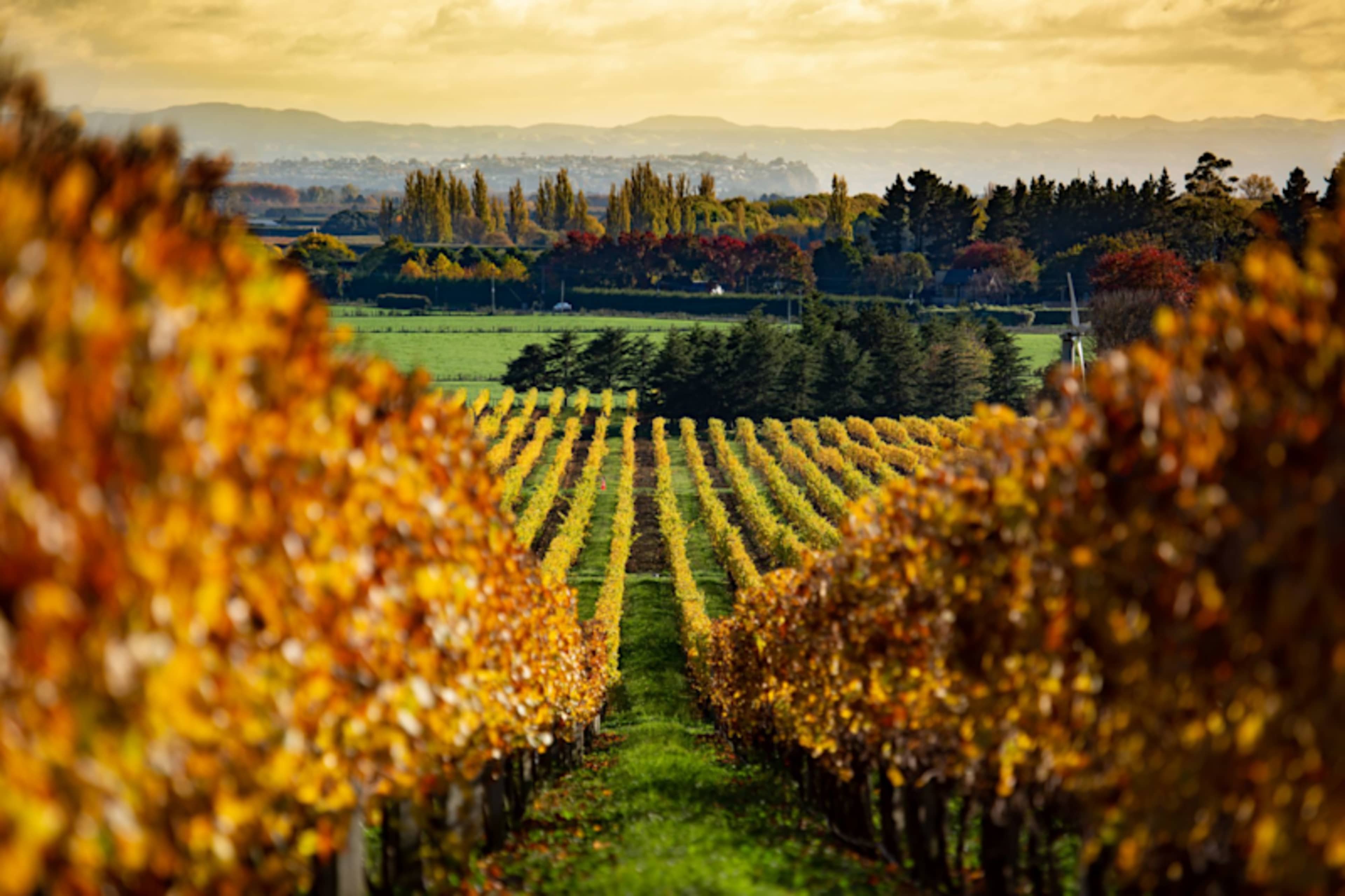 New Zealand: An Exclusive Odyssey photo 2
