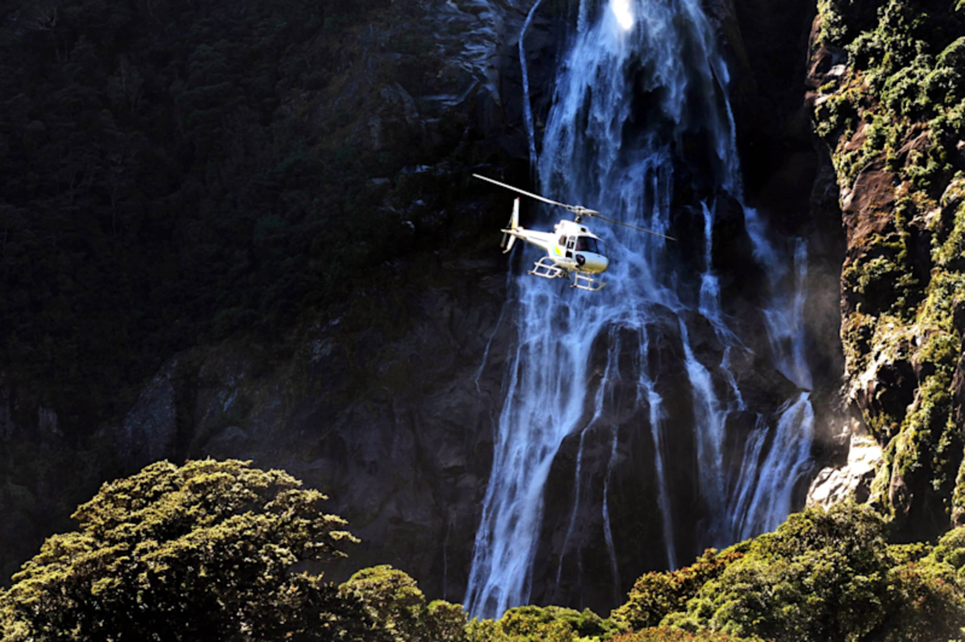 New Zealand Signature photo 4