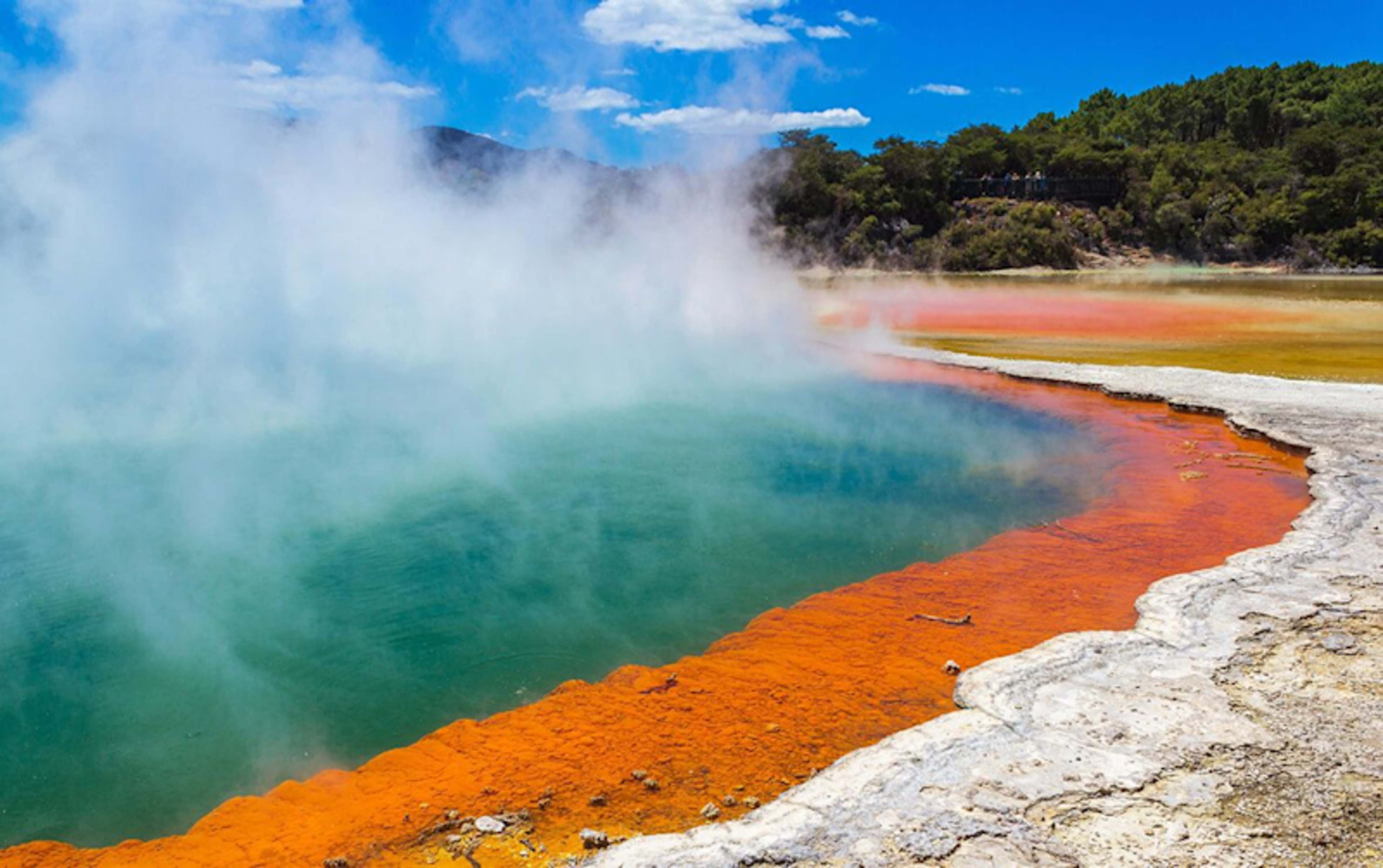 New Zealand Signature photo 2
