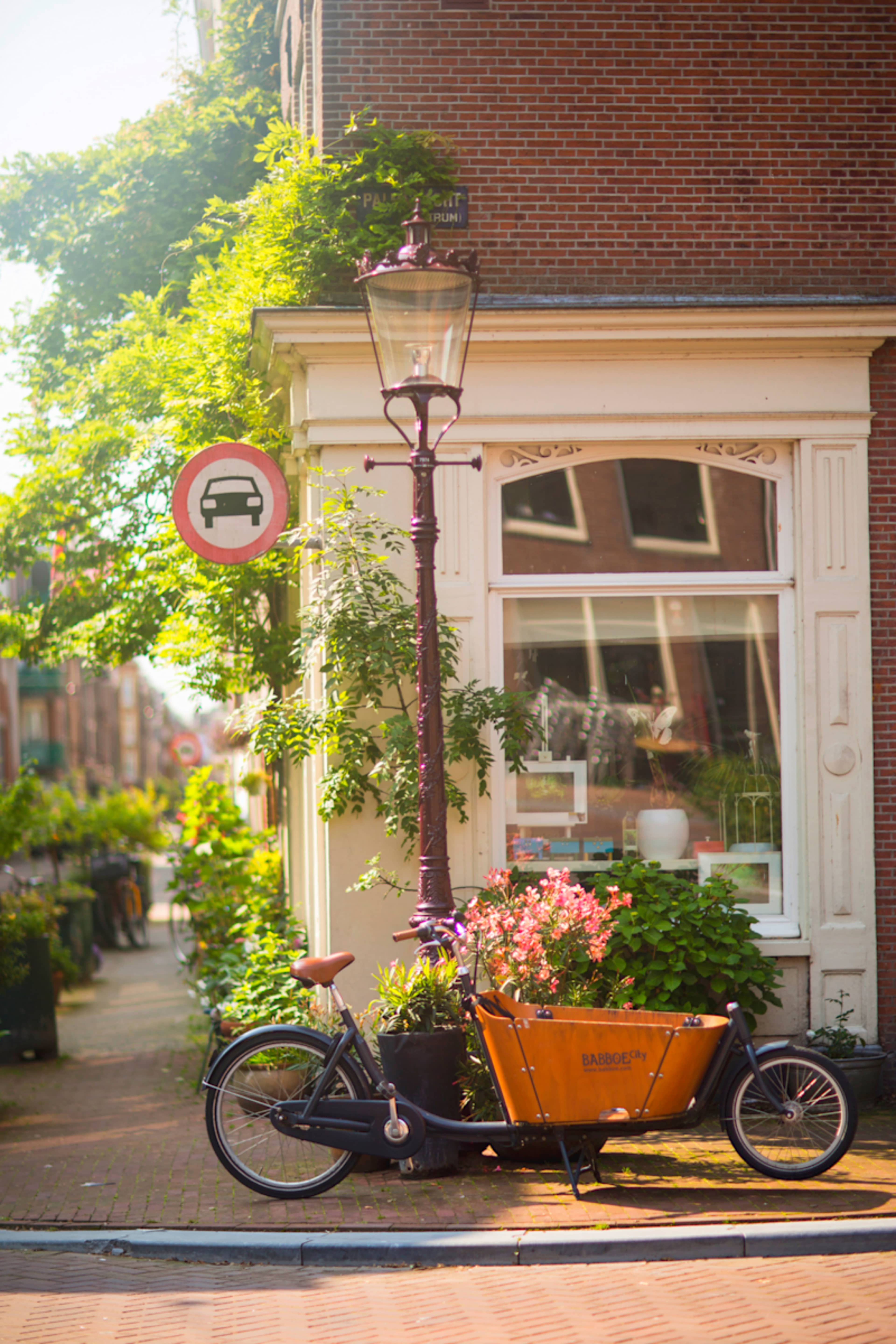 The Charms of Central Europe photo 2