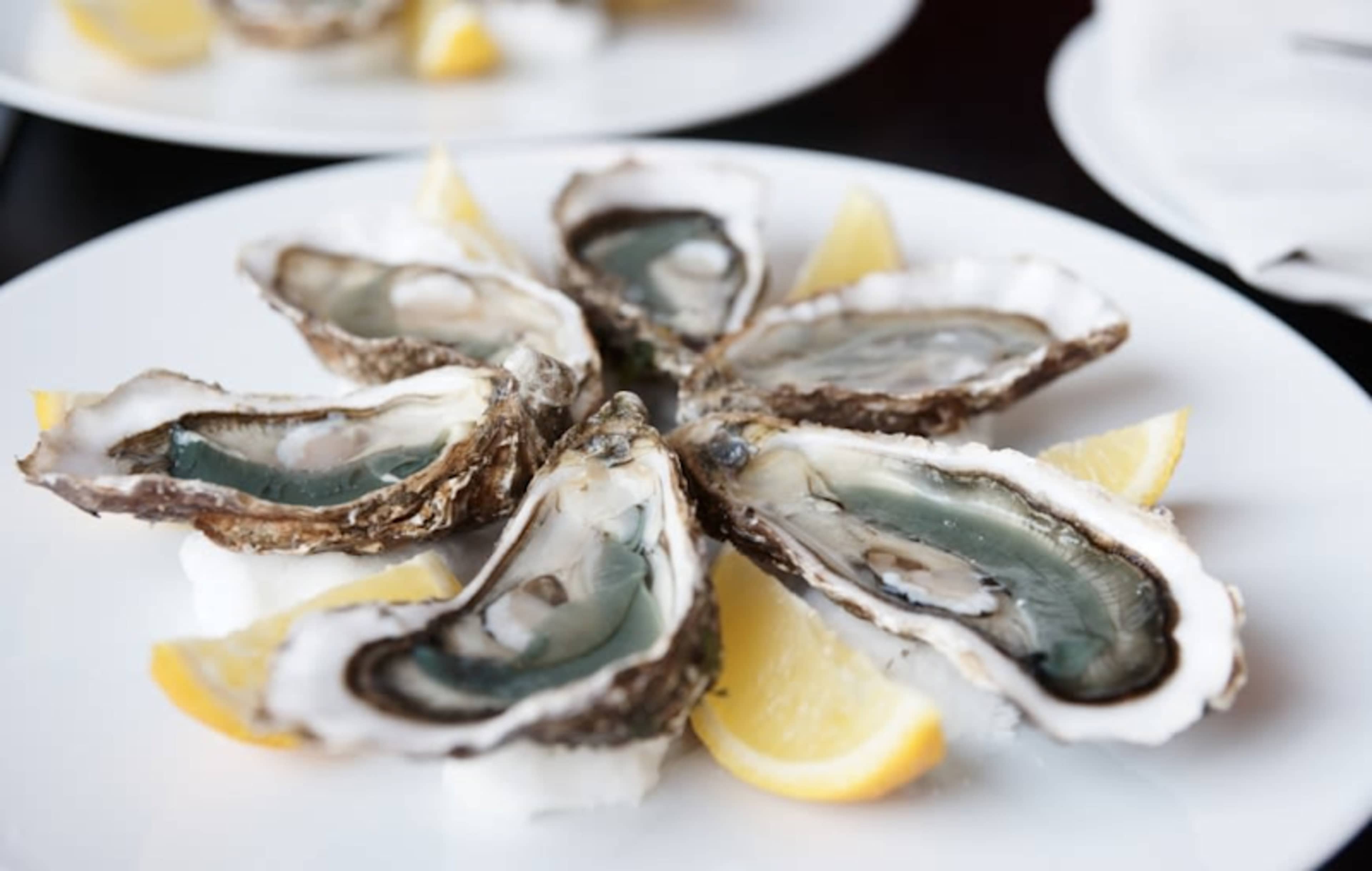 Sonoma's Best Cellars & Gourmet Dining photo 3