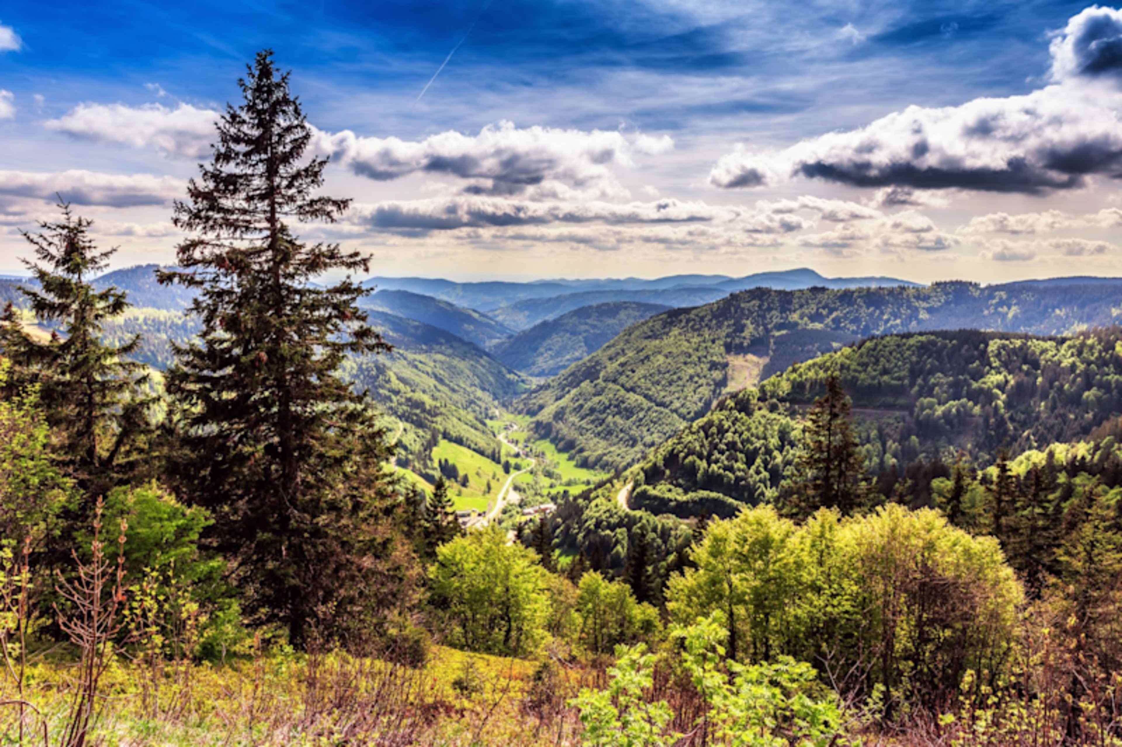 Berlin, Bavaria & Black Forest photo 4