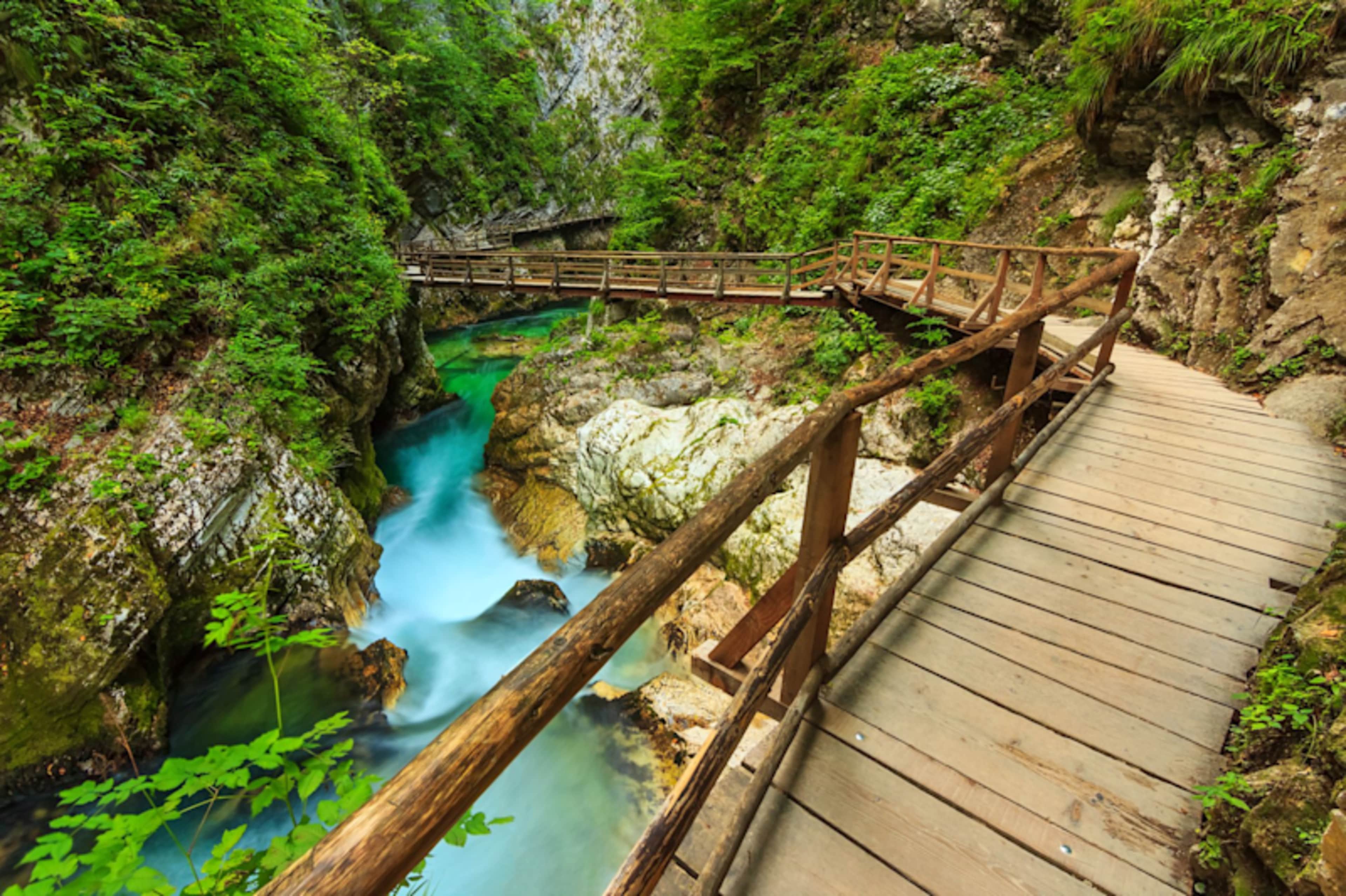 Slovenia Explorer photo 4