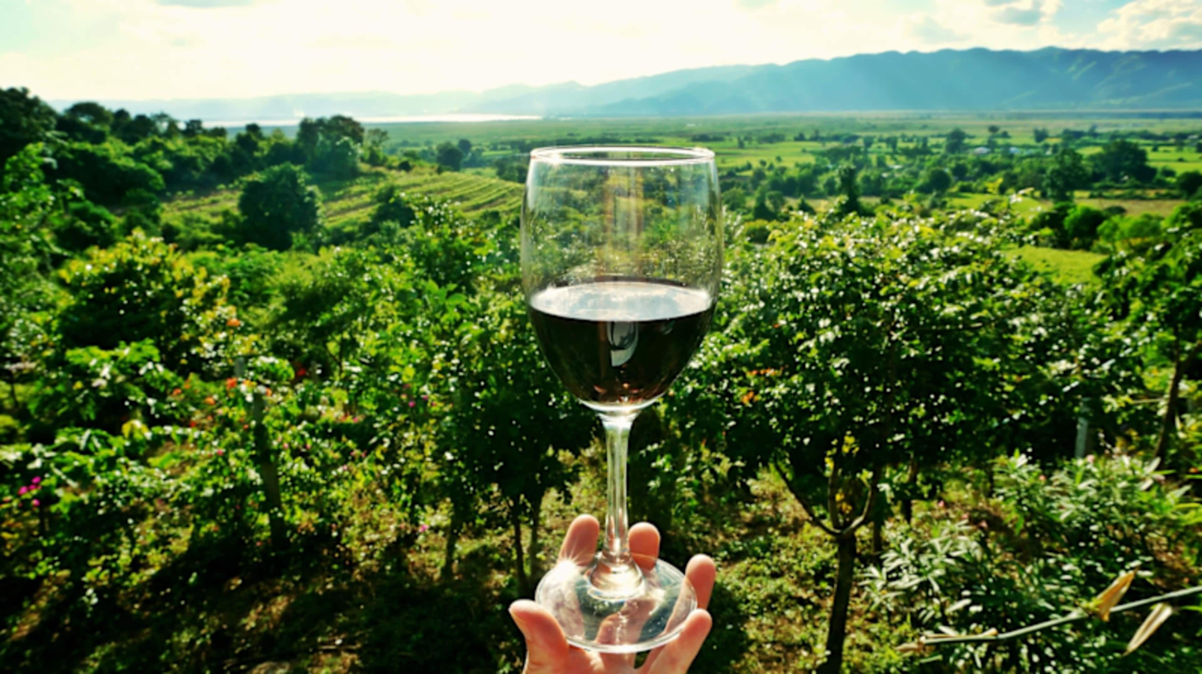 Australian Outback, Wine & Rail photo 3