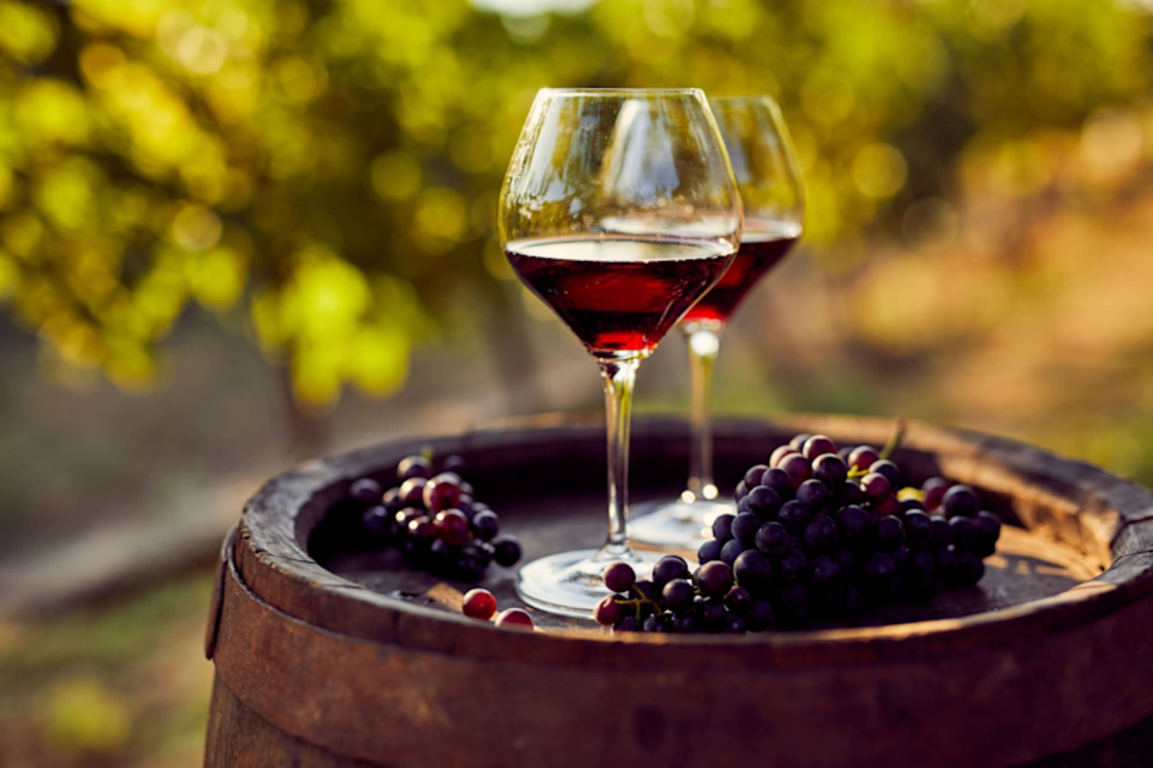 The Flavors of Tuscany photo 2