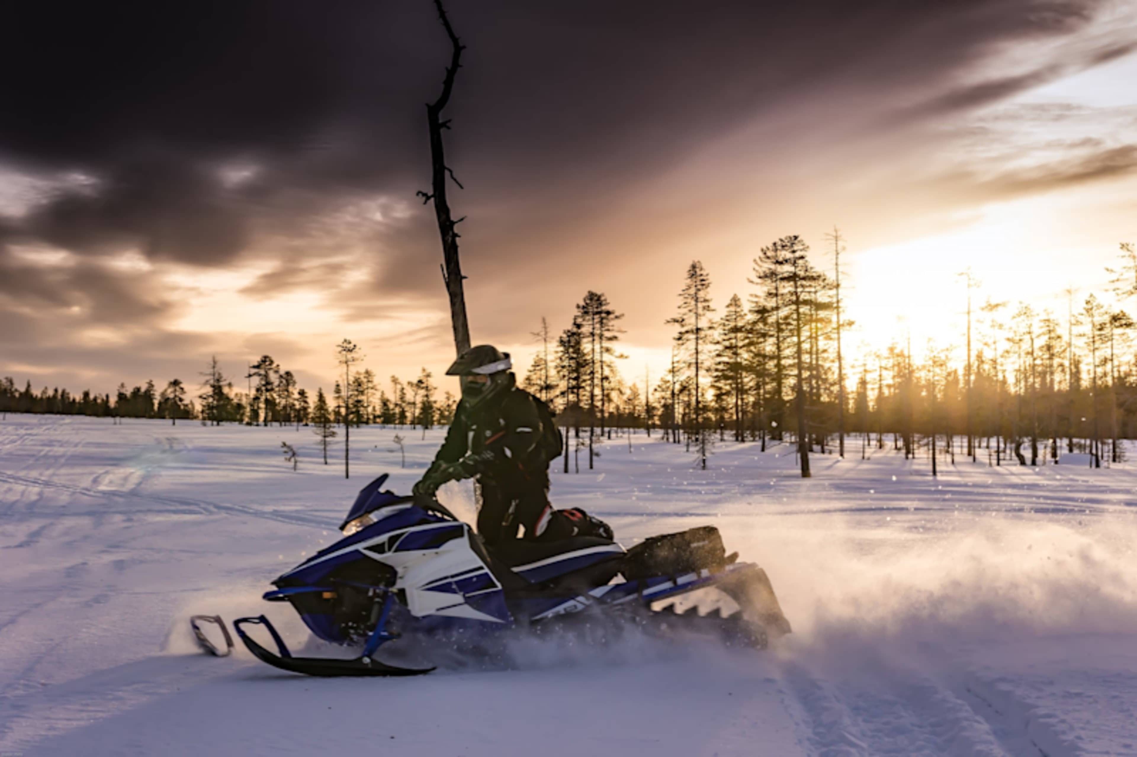 Polar Pursuit: Epic Arctic Adventure photo 3