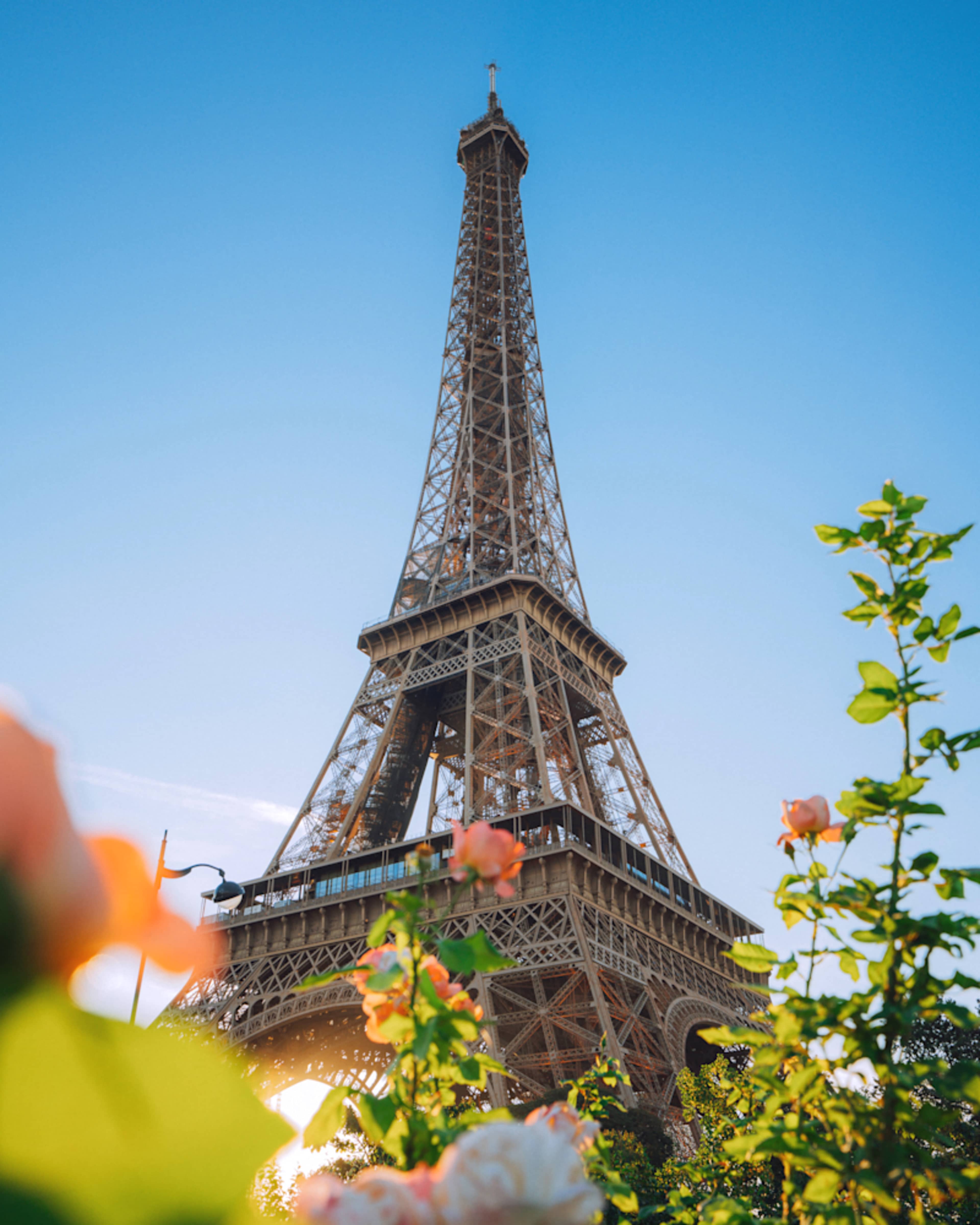 Signature France: Paris, Provence & Riviera Escape photo 2