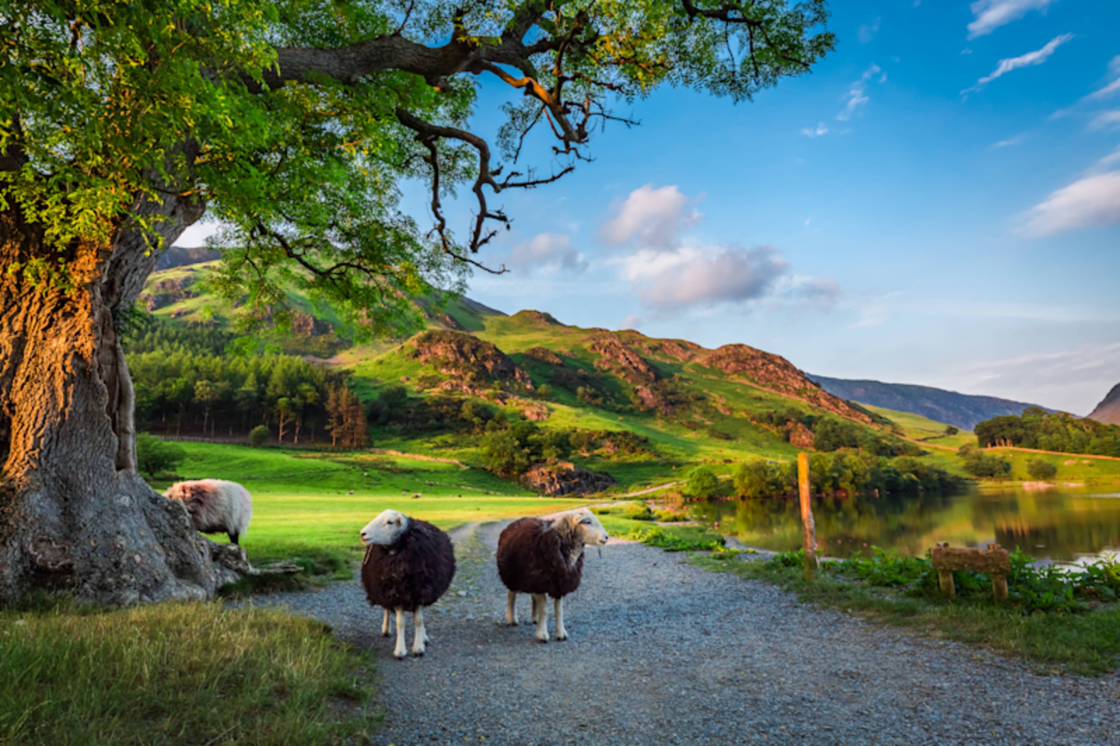 England's Literary Lake District & Yorkshire photo 2