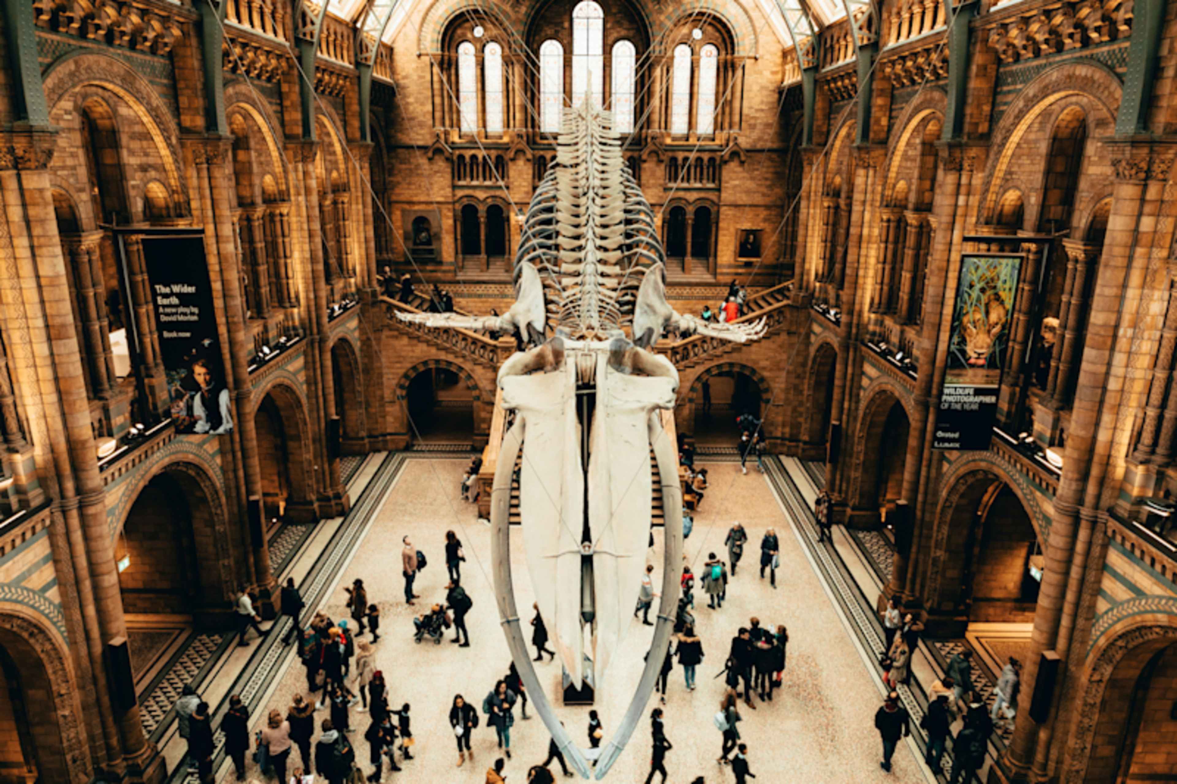 London Family Fun: Museums, Musicals & Pop Culture photo 3